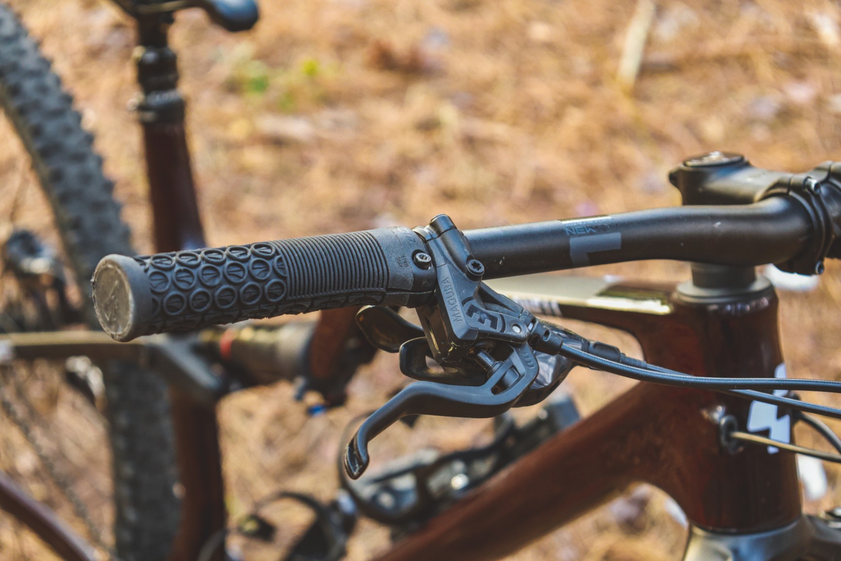 Bike view 7