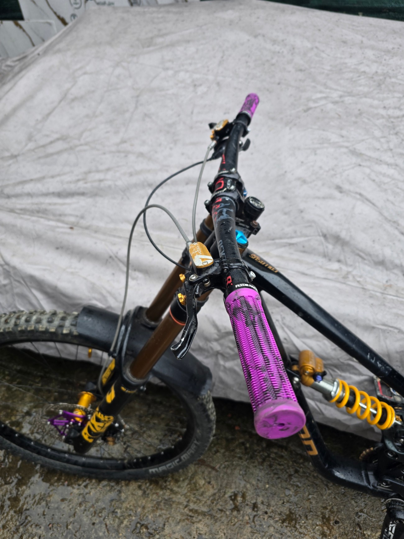 Bike view 6