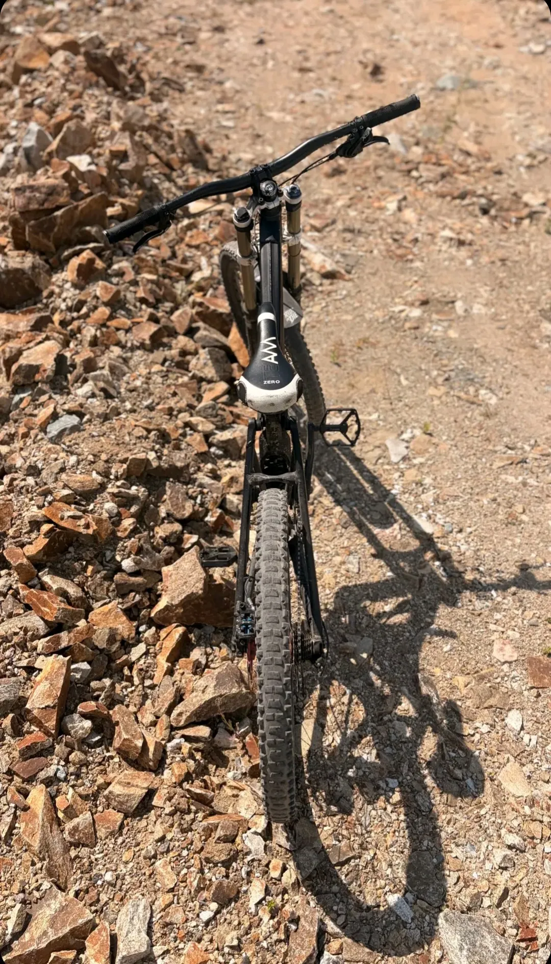 Haibike Dwnhll view 2