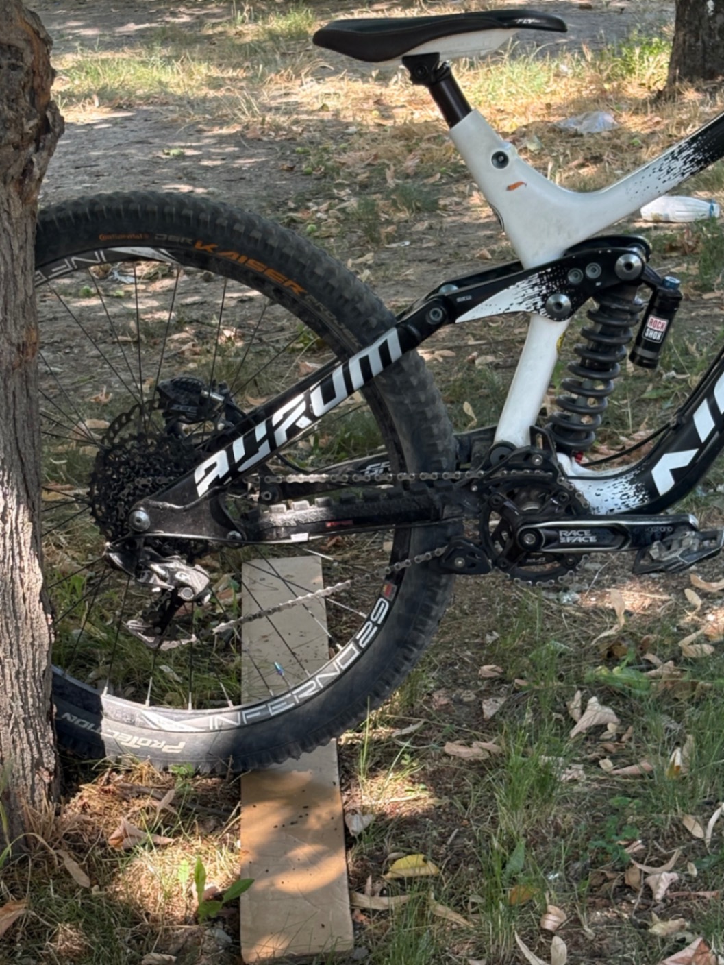 Bike view 8