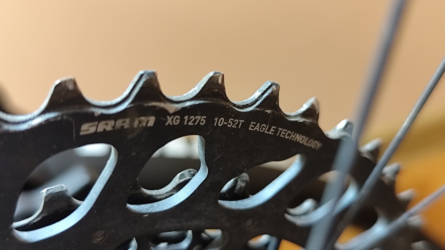 Bike view 8