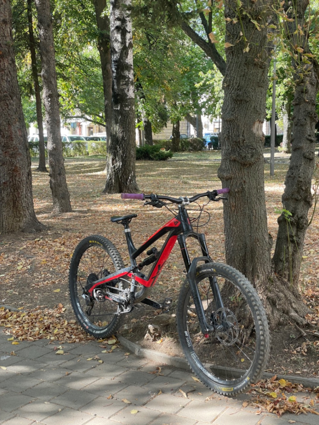 YT Industries Capra AL Comp