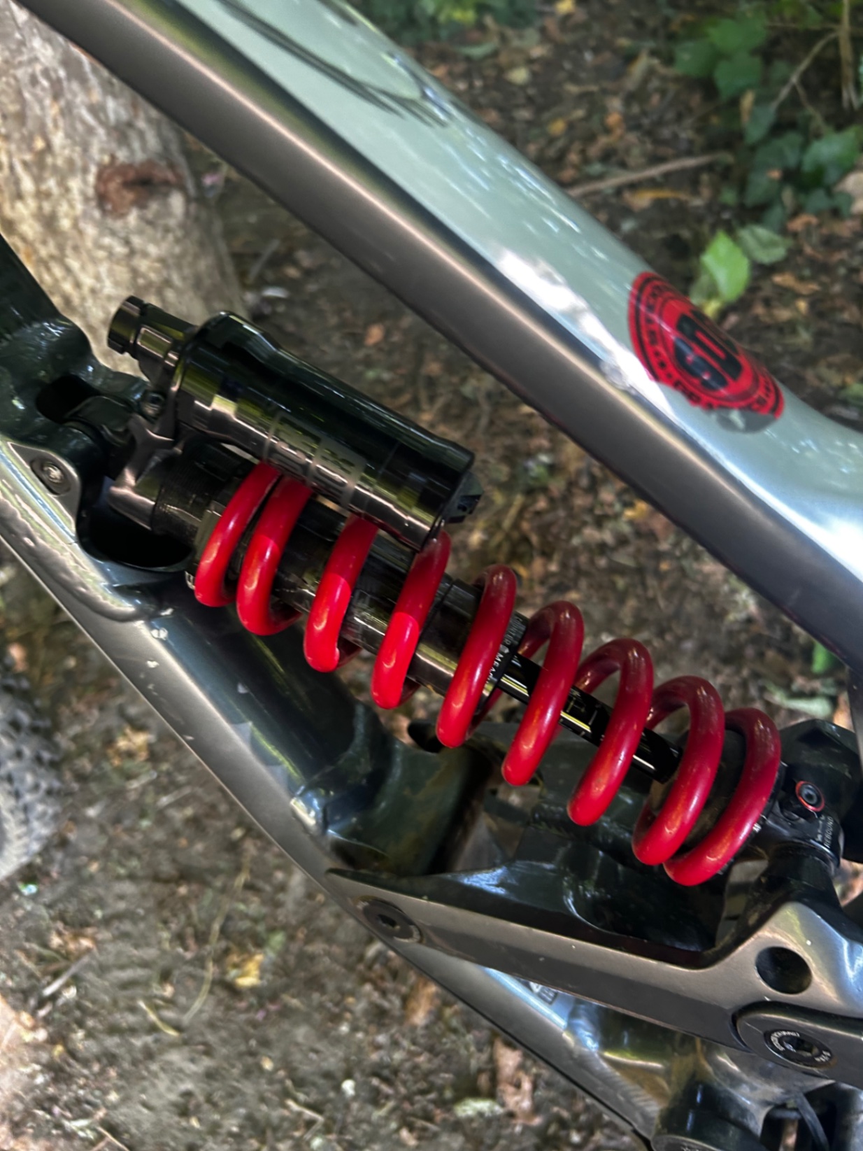 Bike view 6