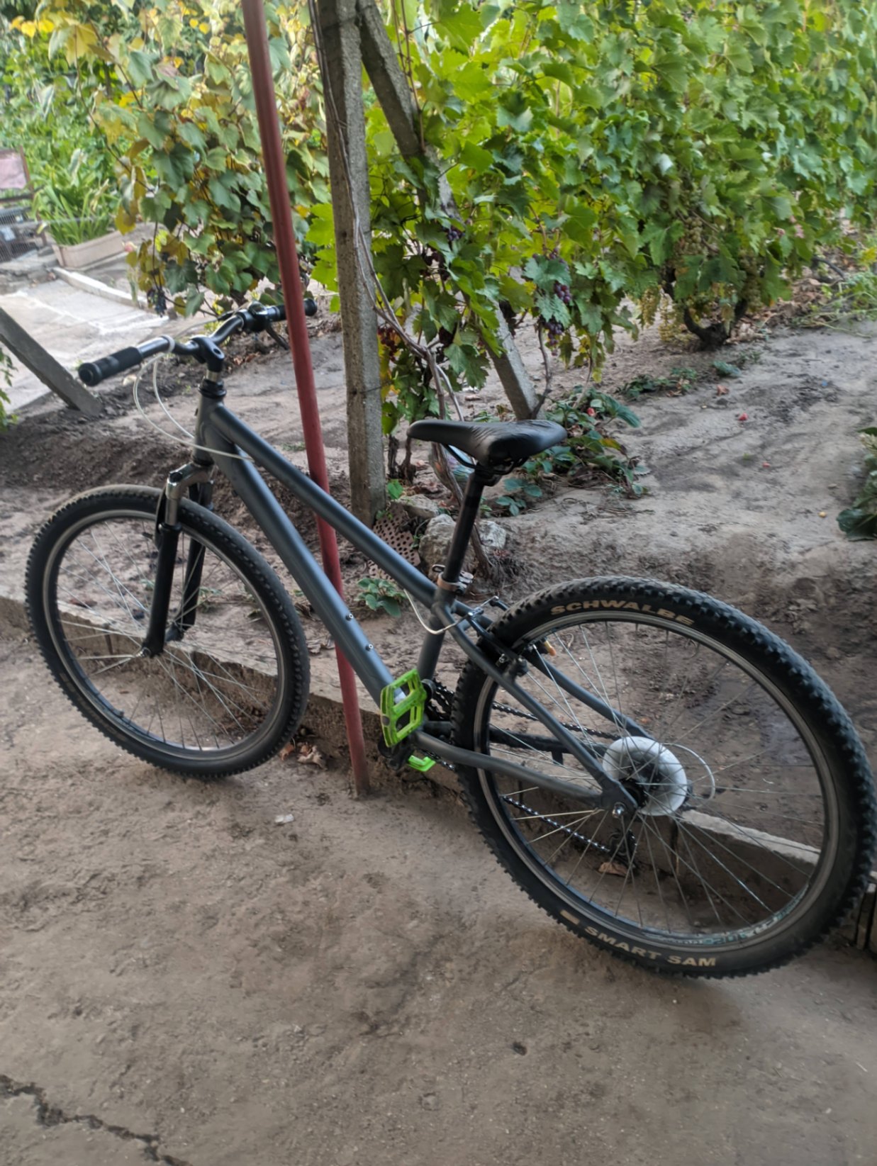 Bike view 10