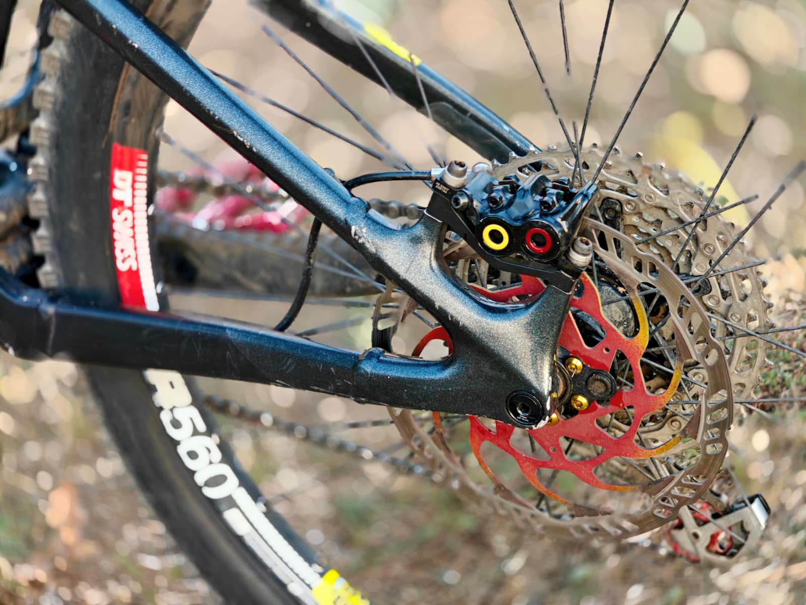 Bike view 12