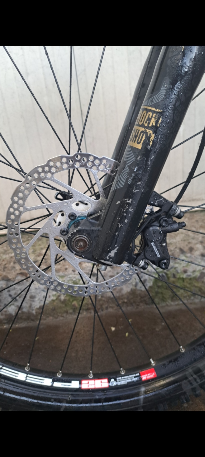 Bike view 8