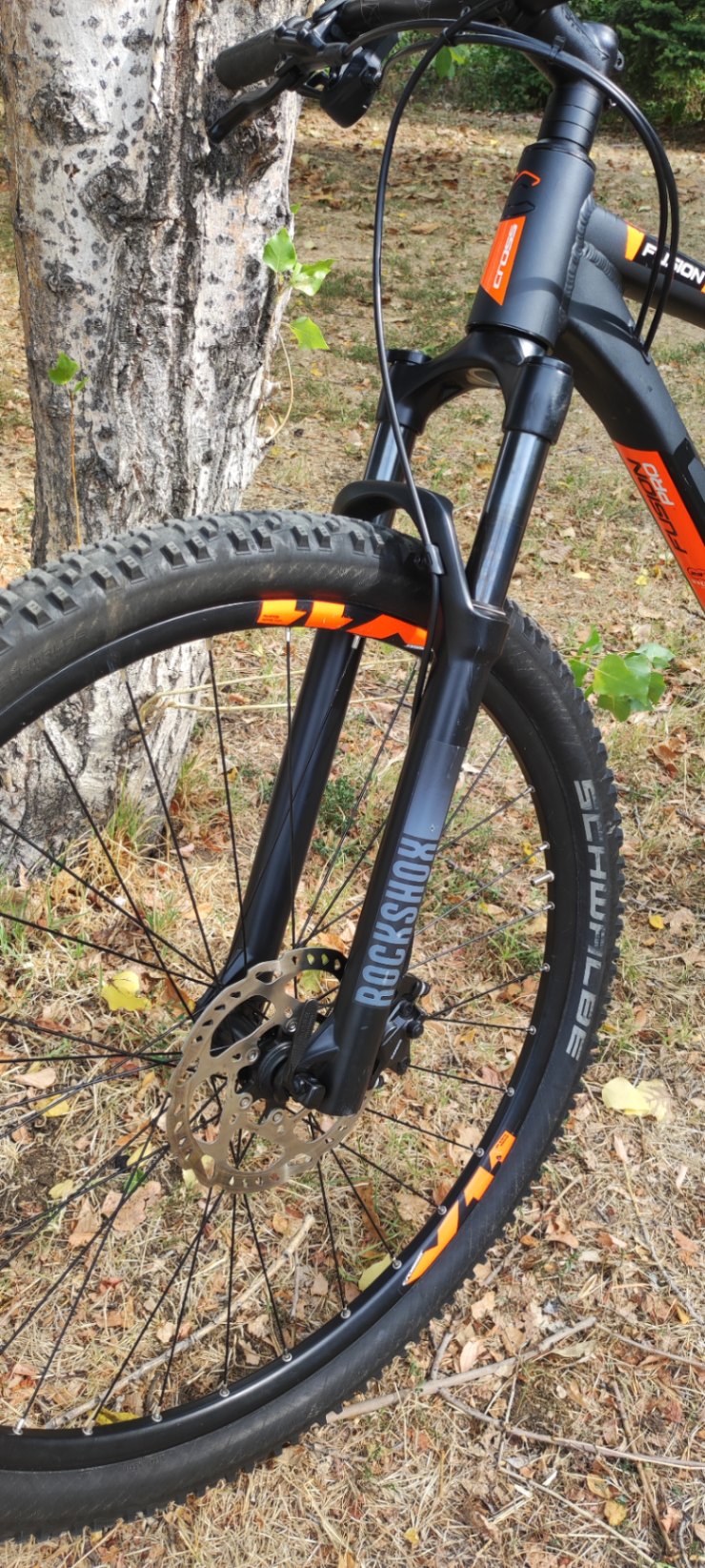 Bike view 10
