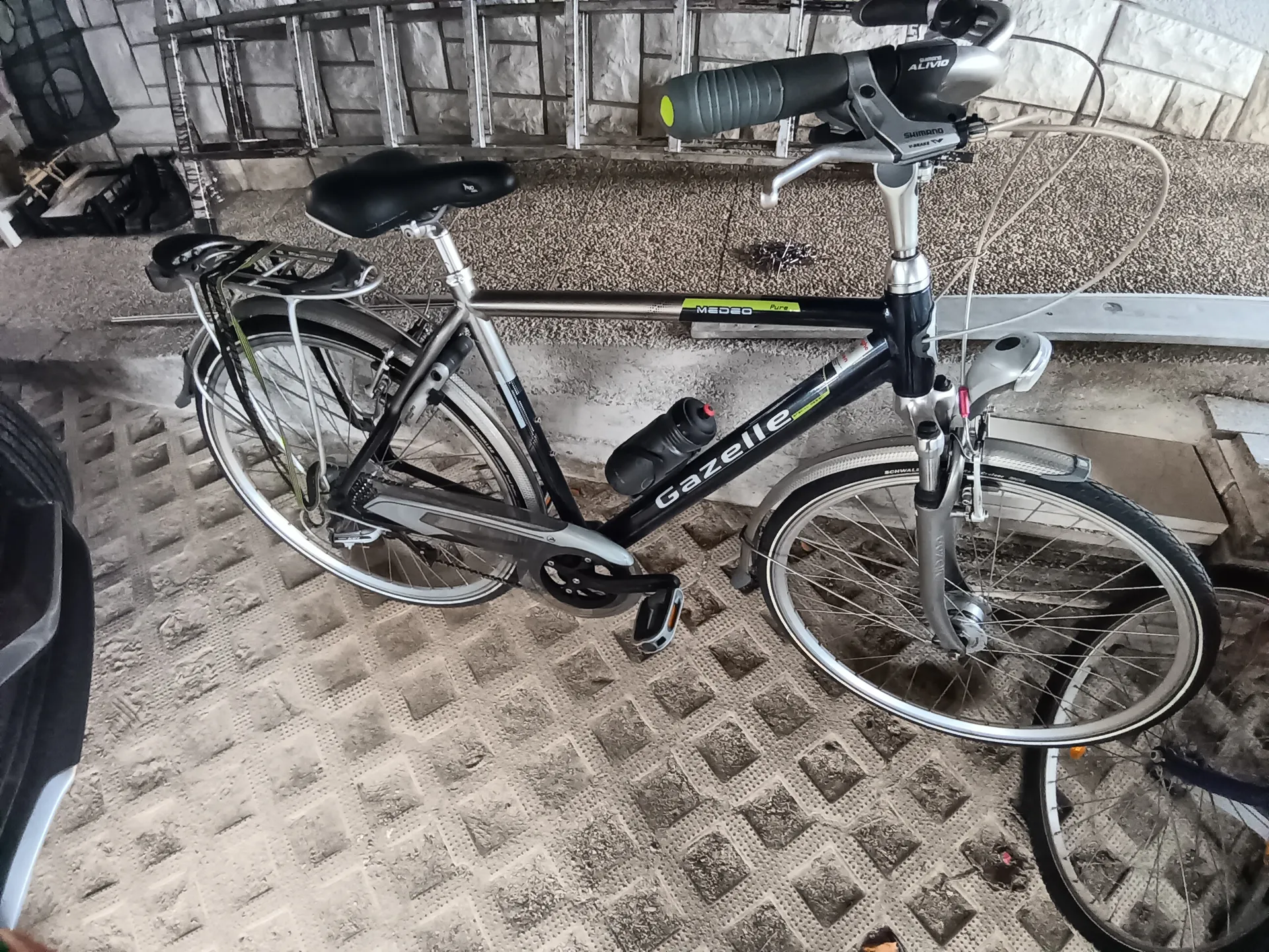 Gazelle Medeo