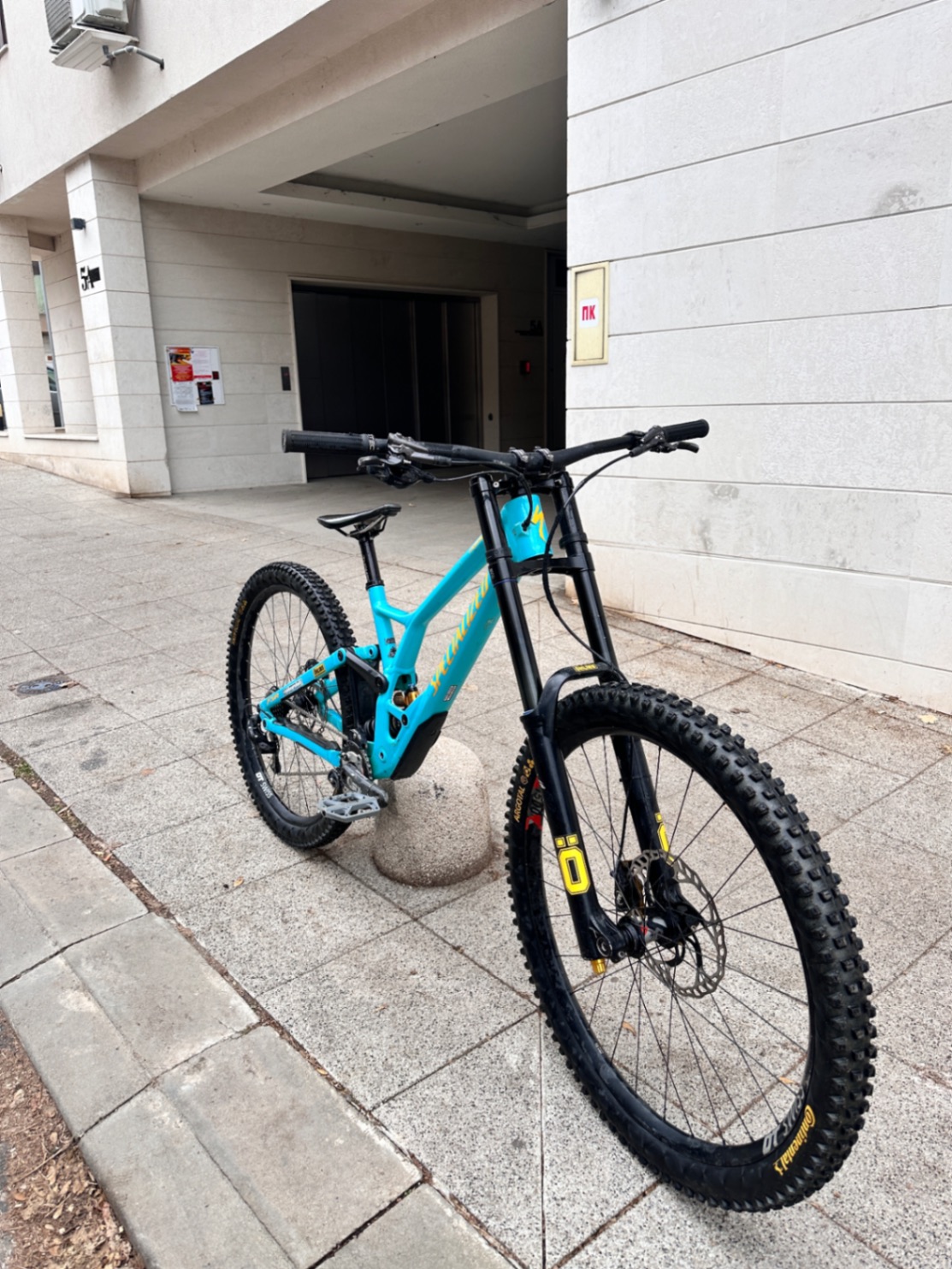 Specialized Demo Race