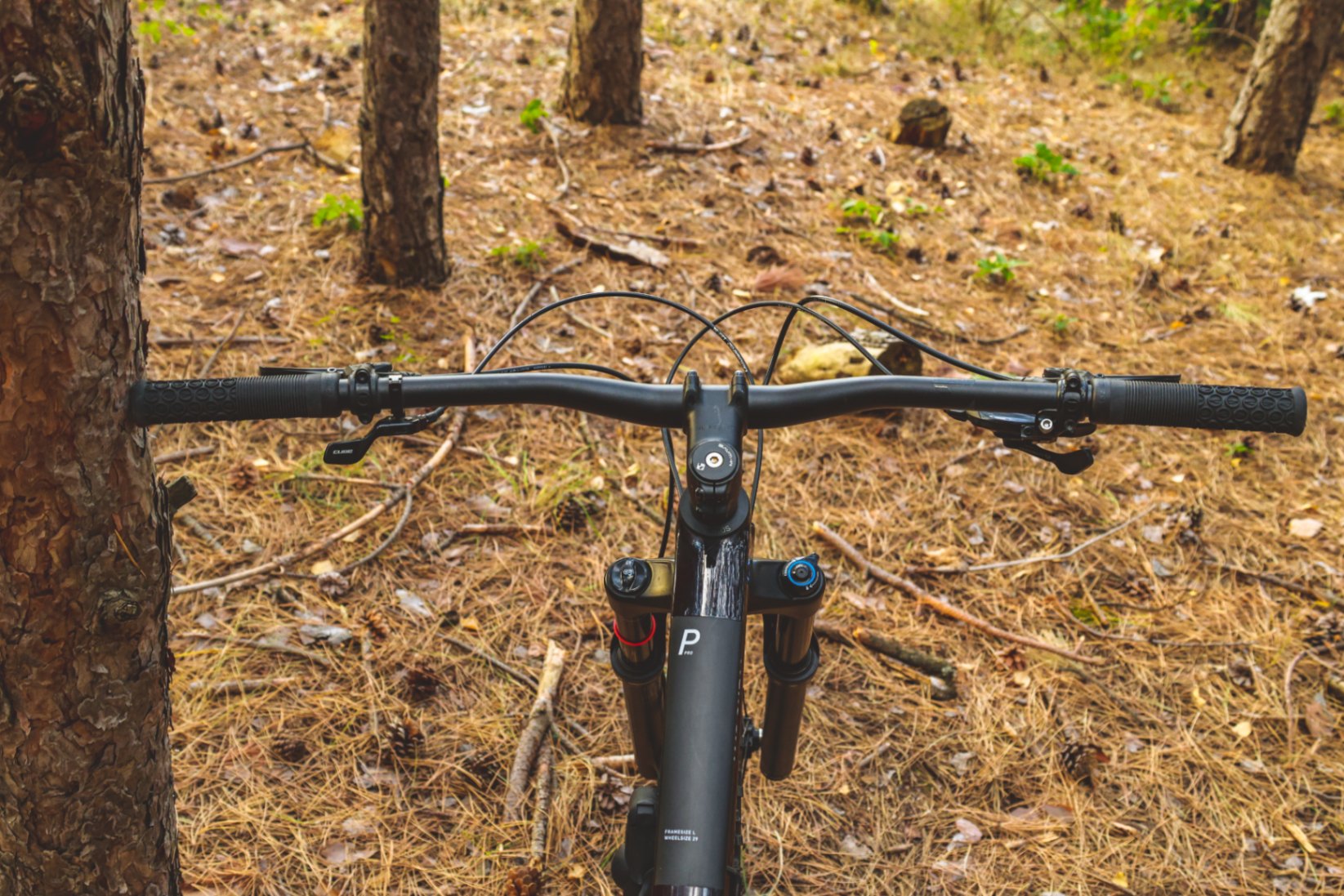Bike view 8