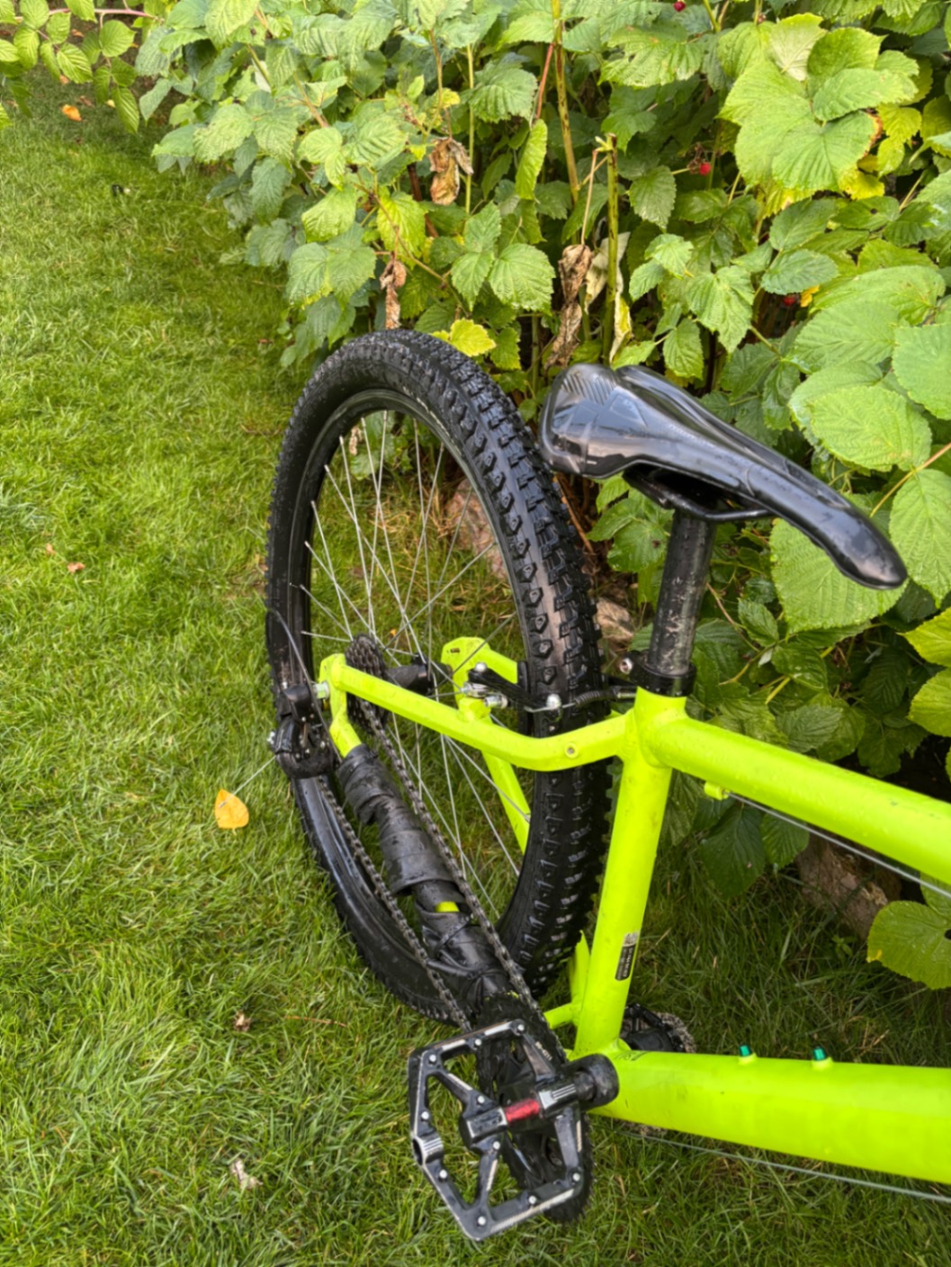 Bike view 6