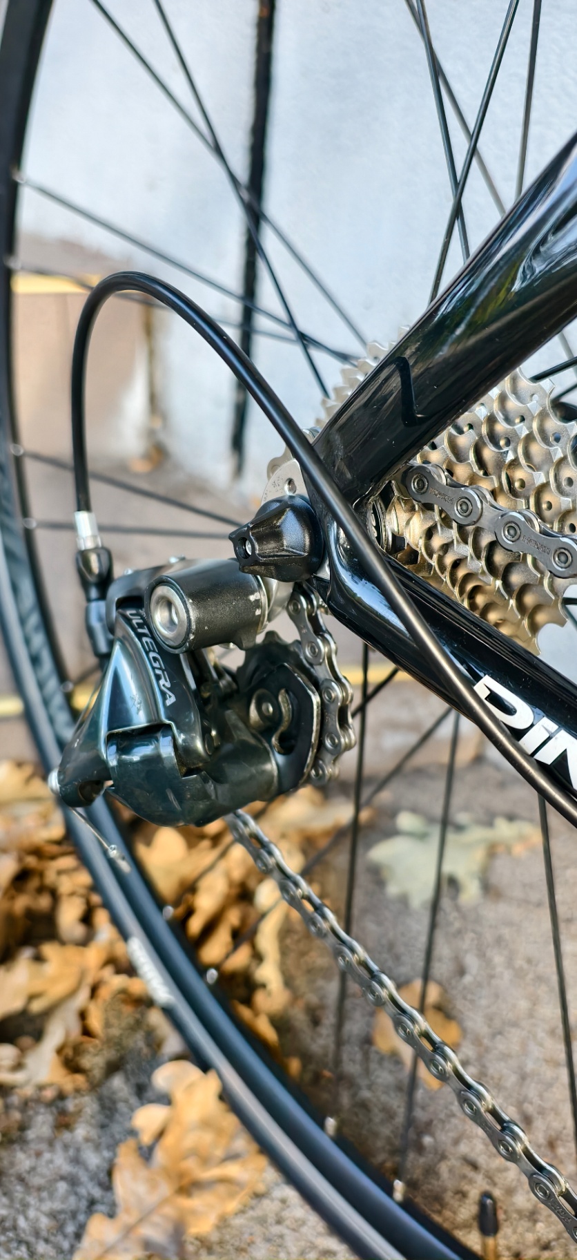 Bike view 5