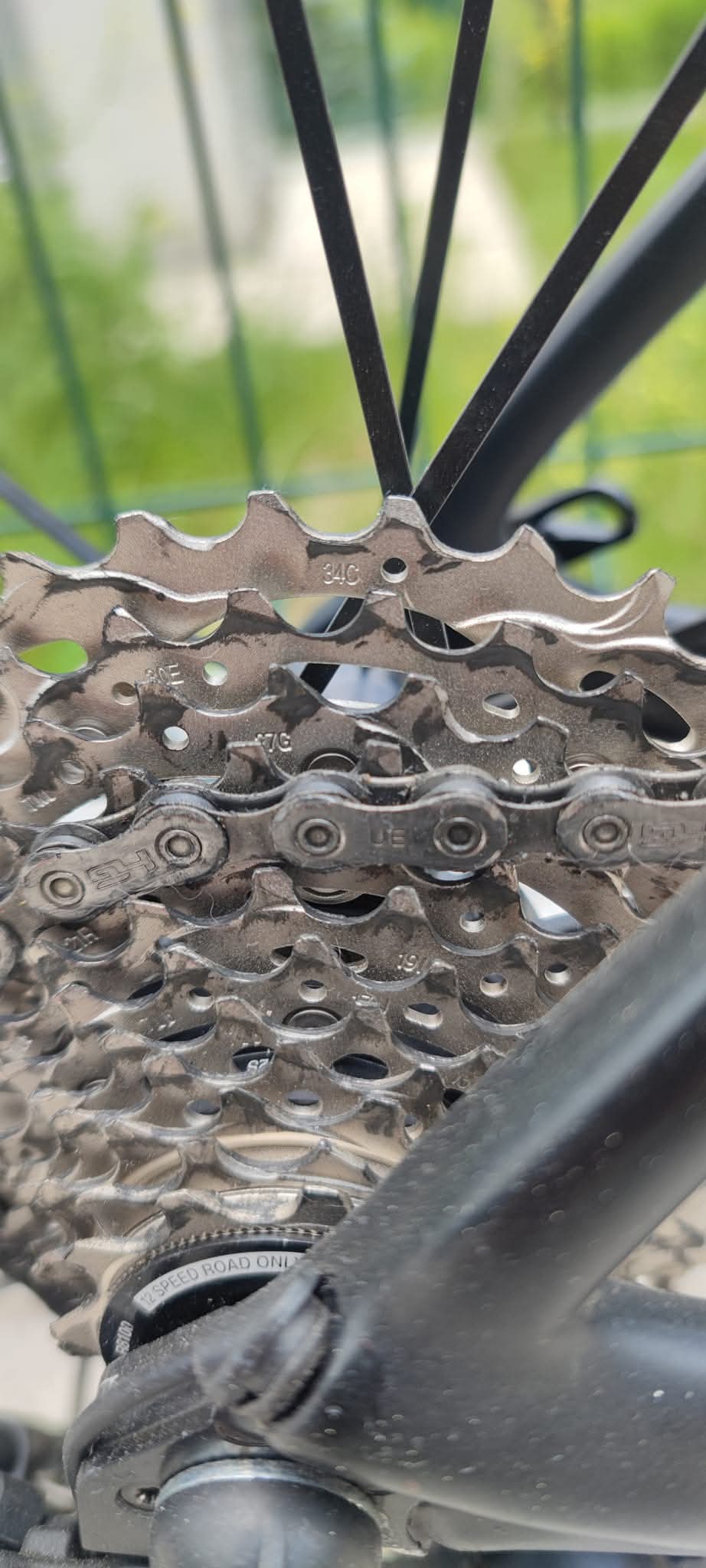 Bike view 8