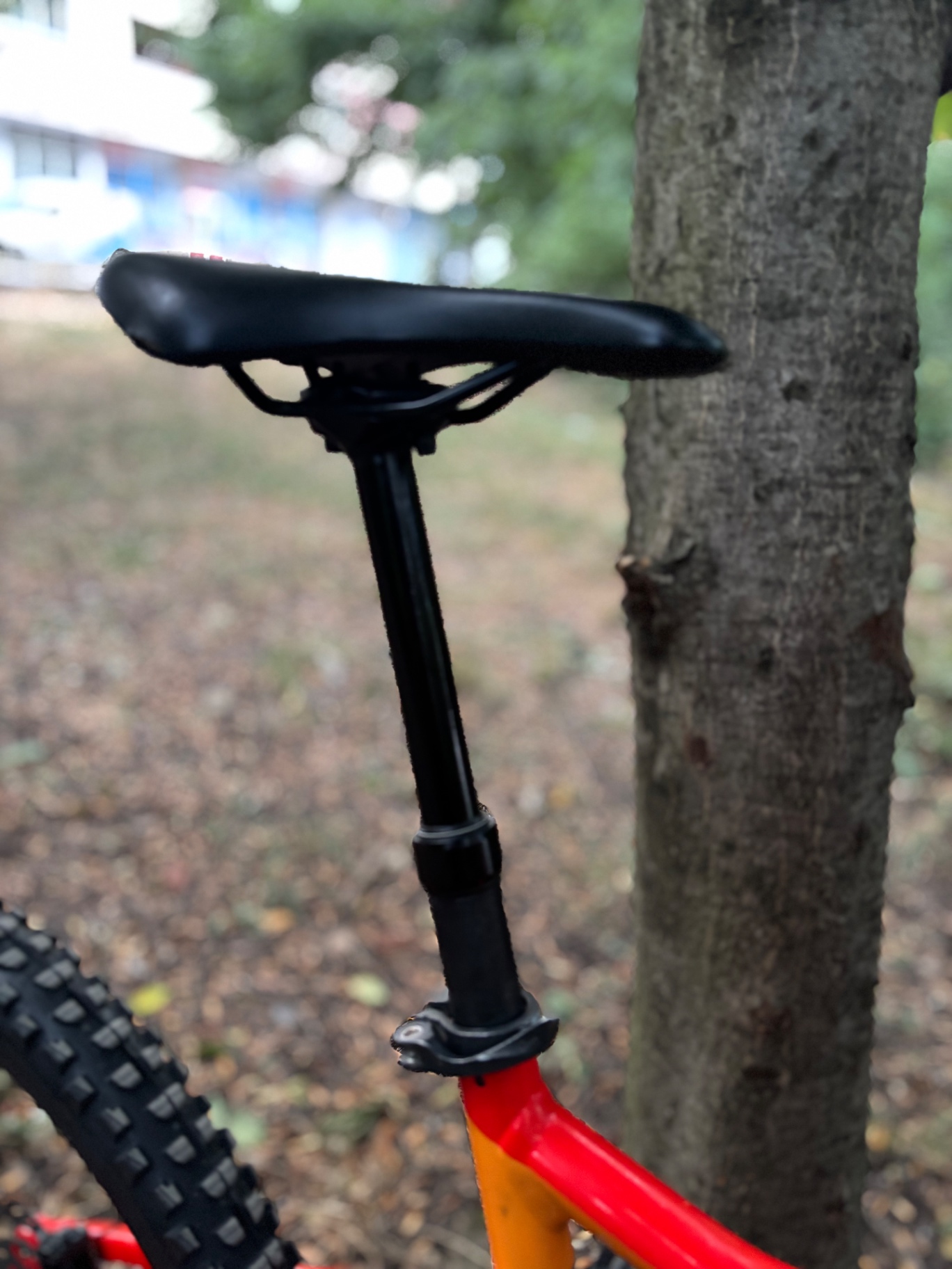 Bike view 6