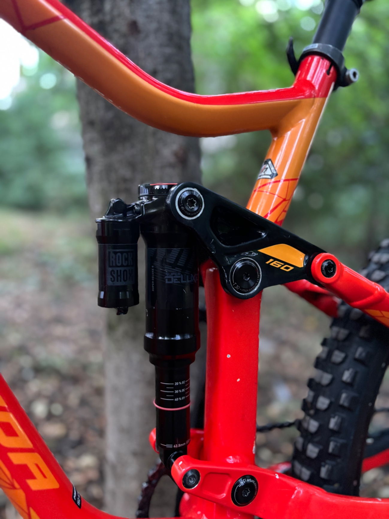 Bike view 12