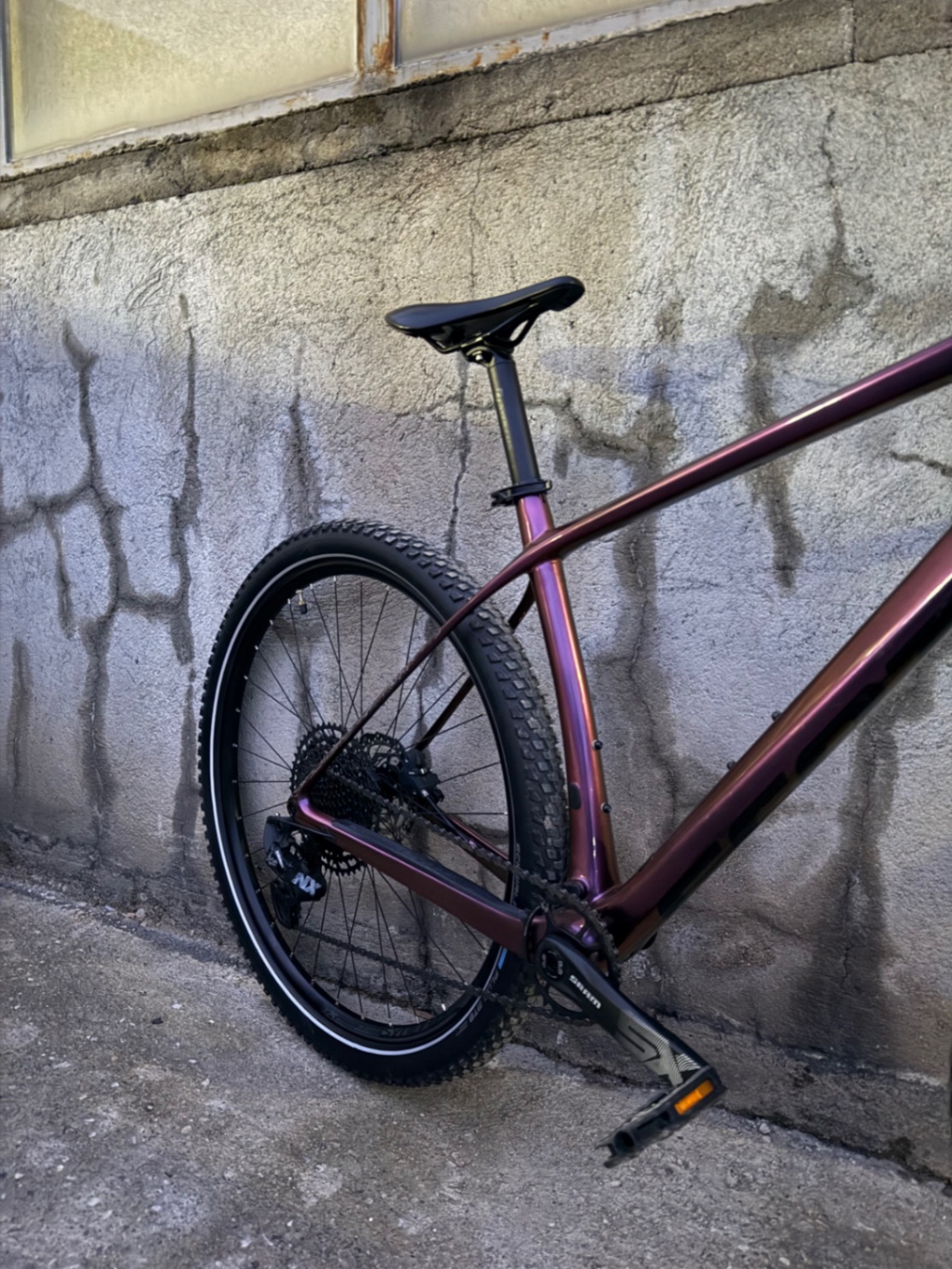 Bike view 5
