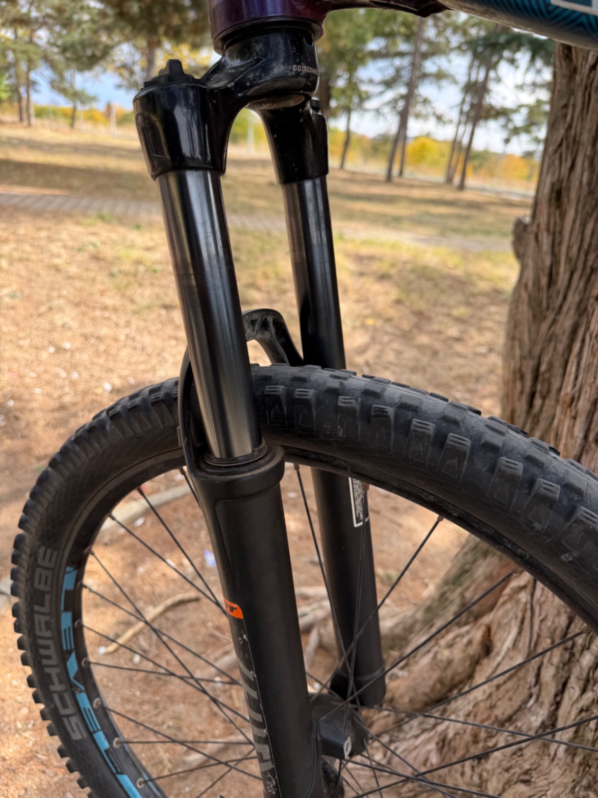 Bike view 6