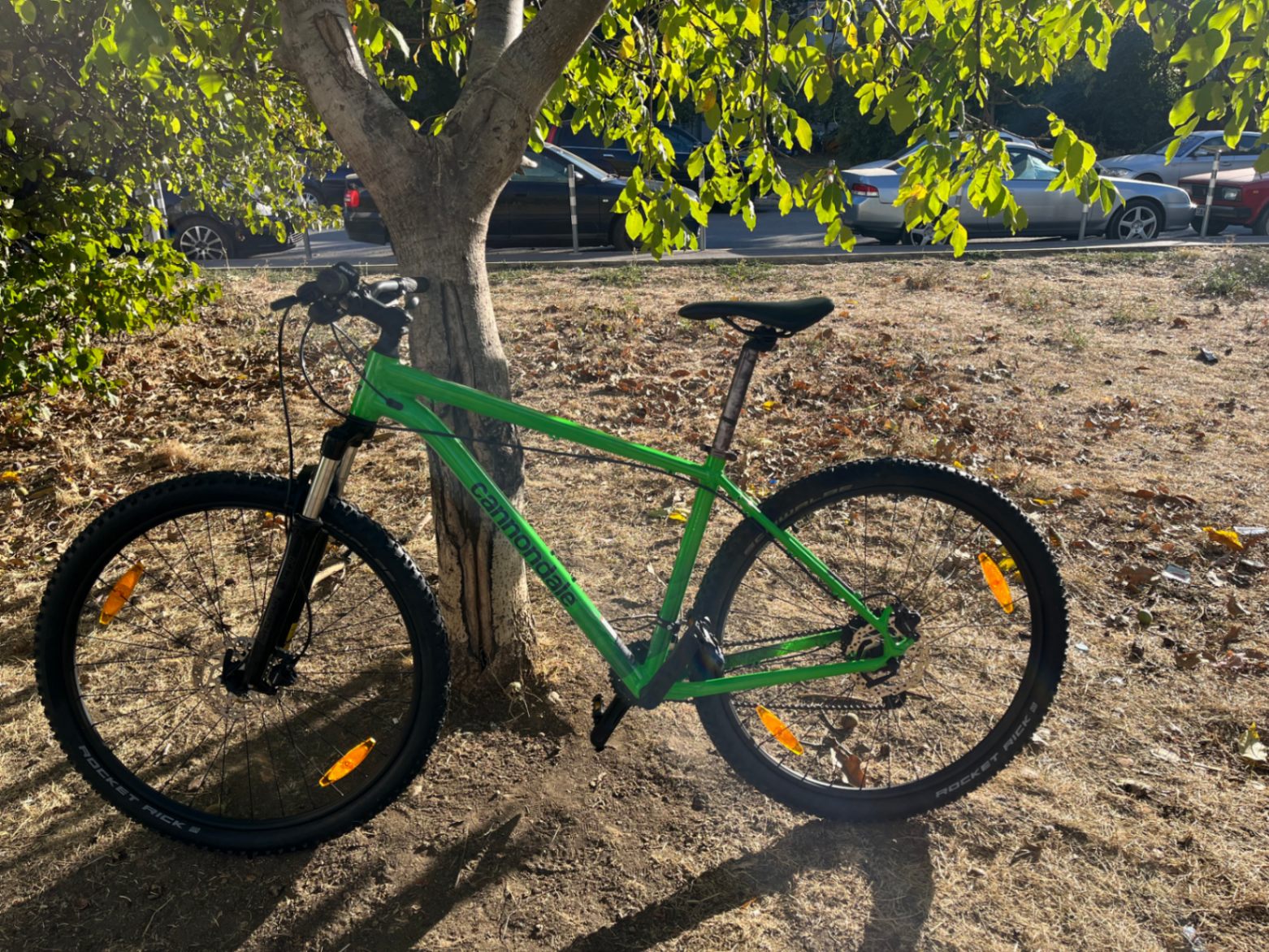Cannondale Trail 7