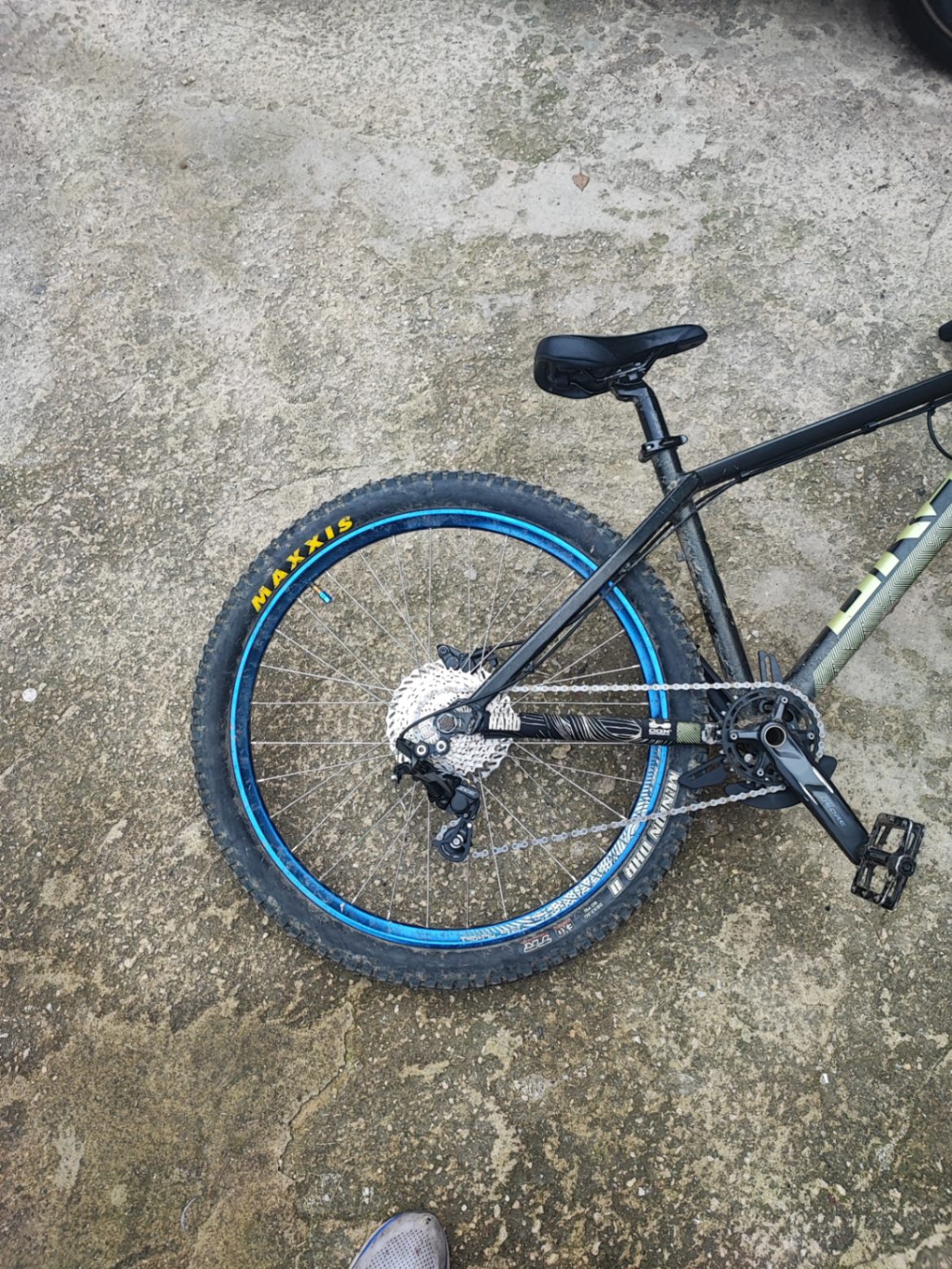 Bike view 5