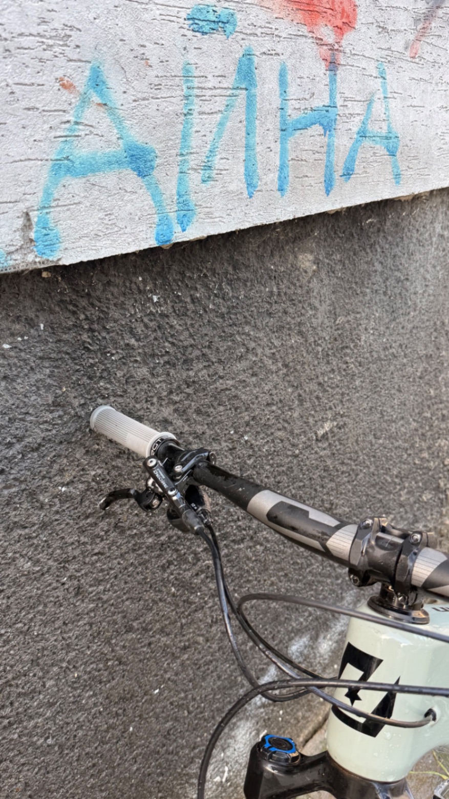 Bike view 10