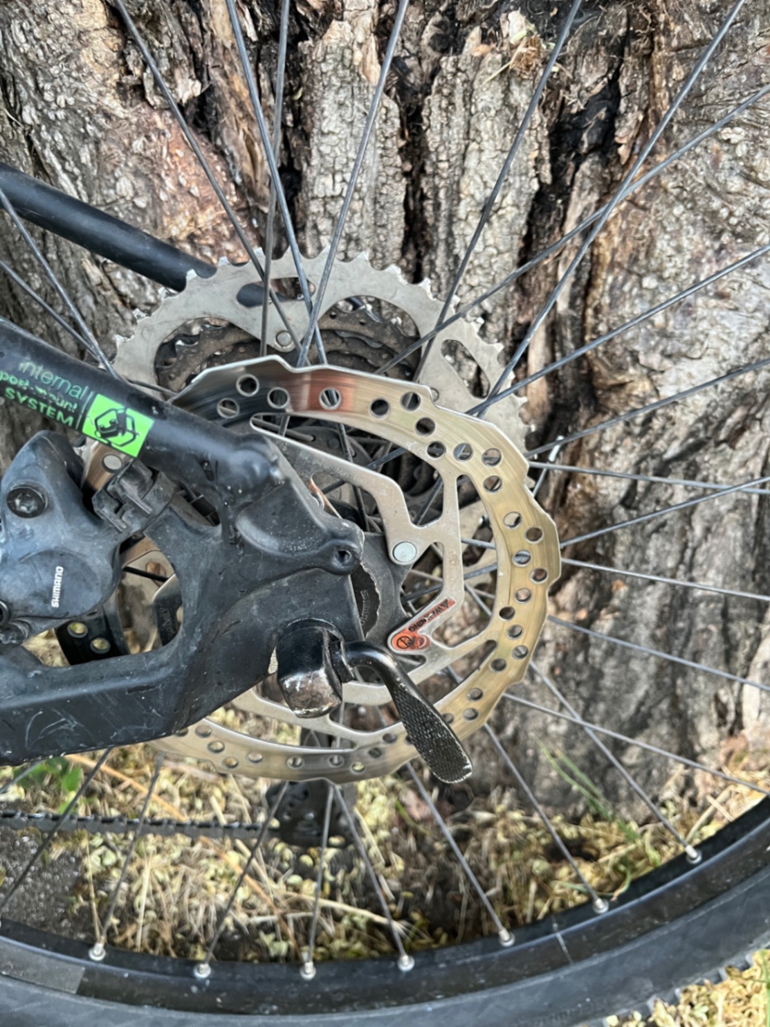 Bike view 5