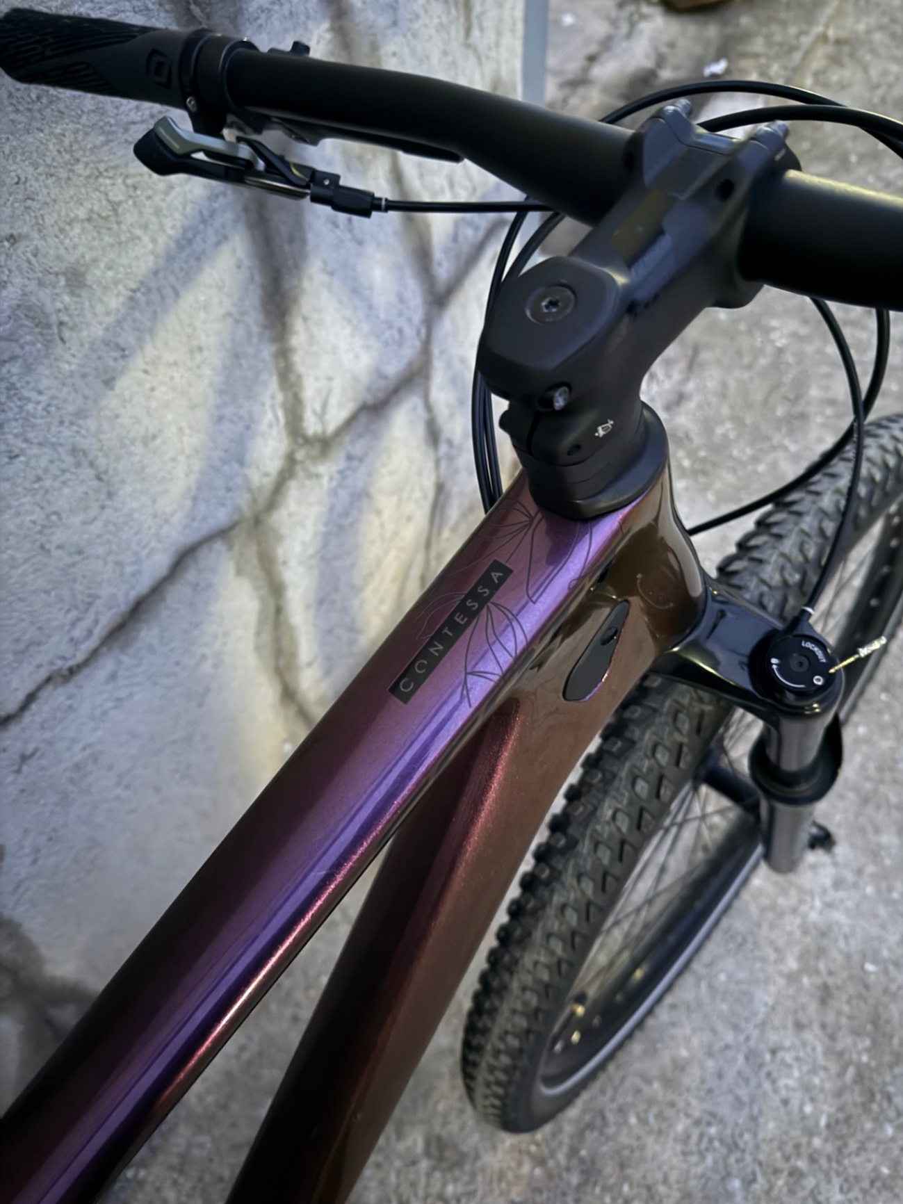 Bike view 7