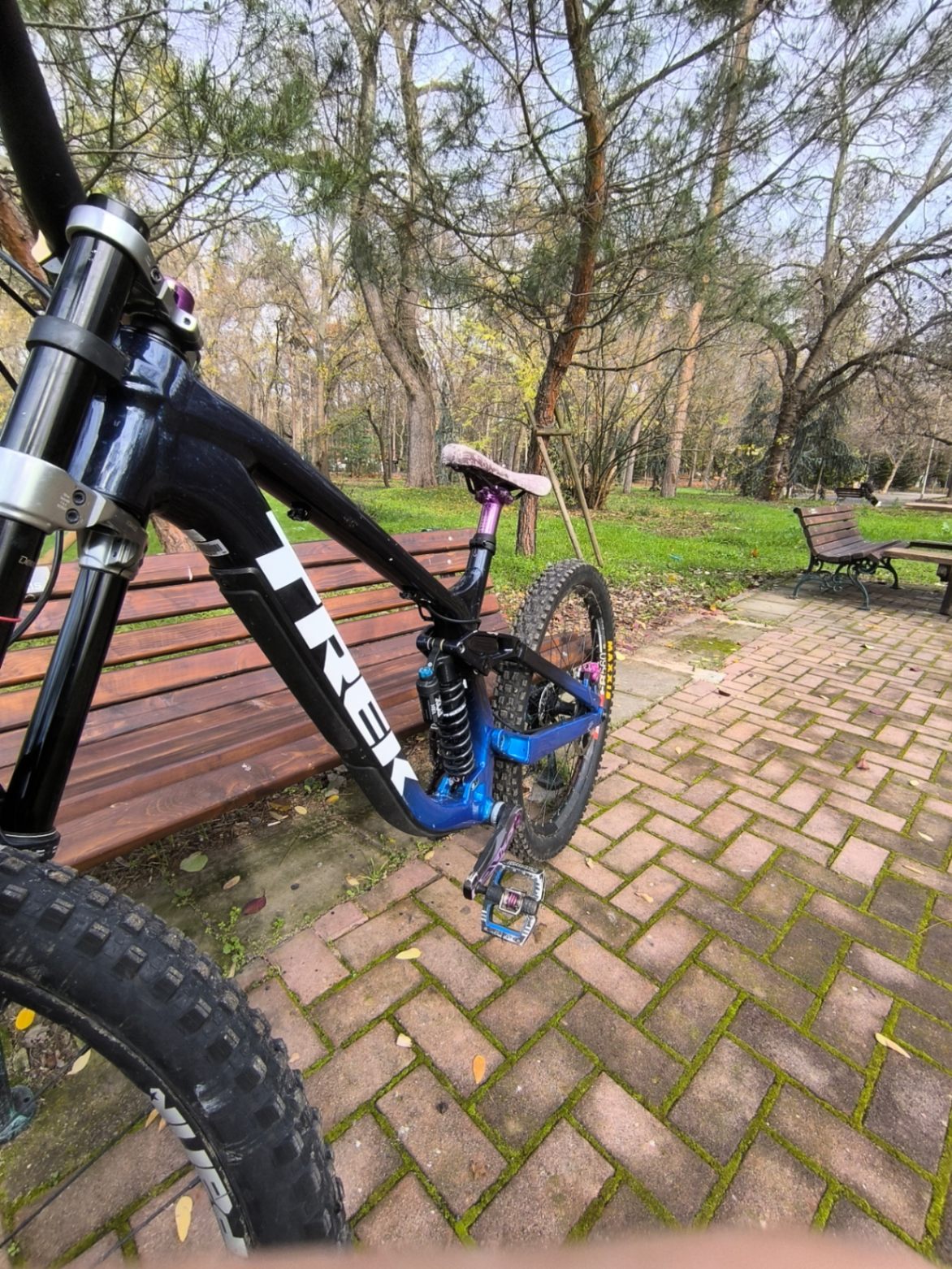Bike view 5
