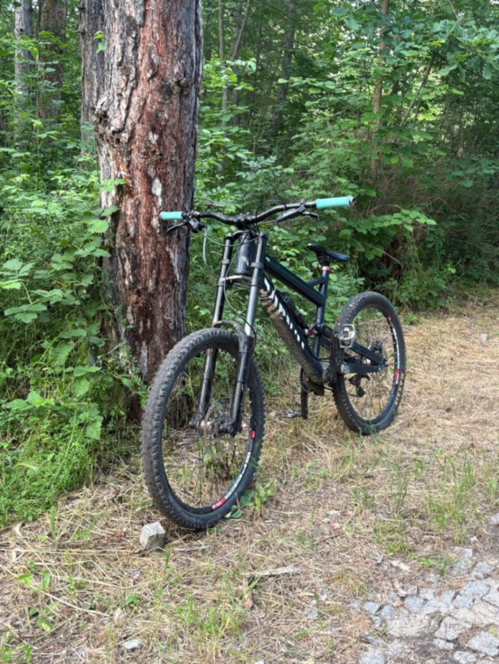 Bike view 3