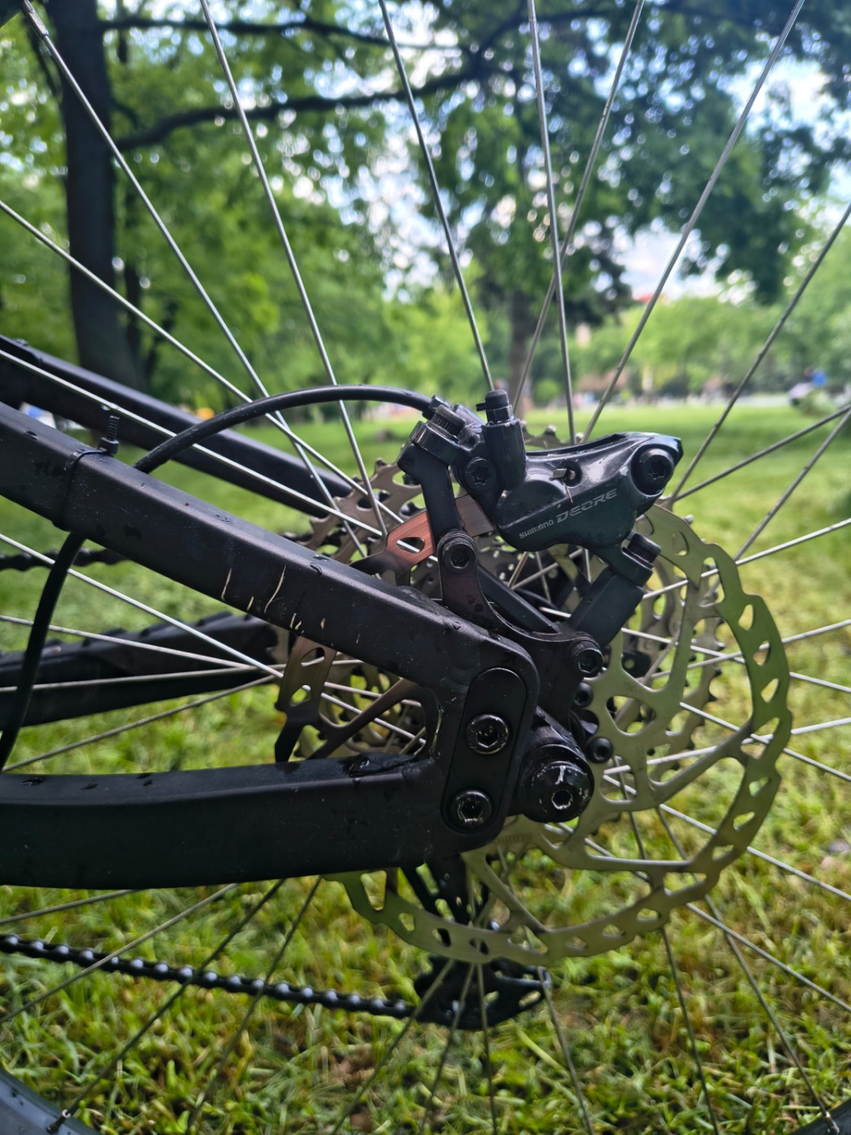 Bike view 12