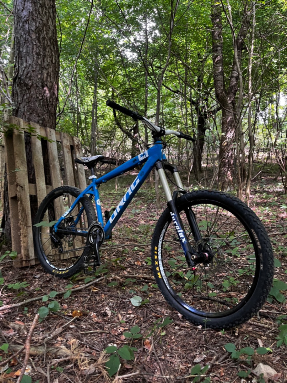 Bike view 5