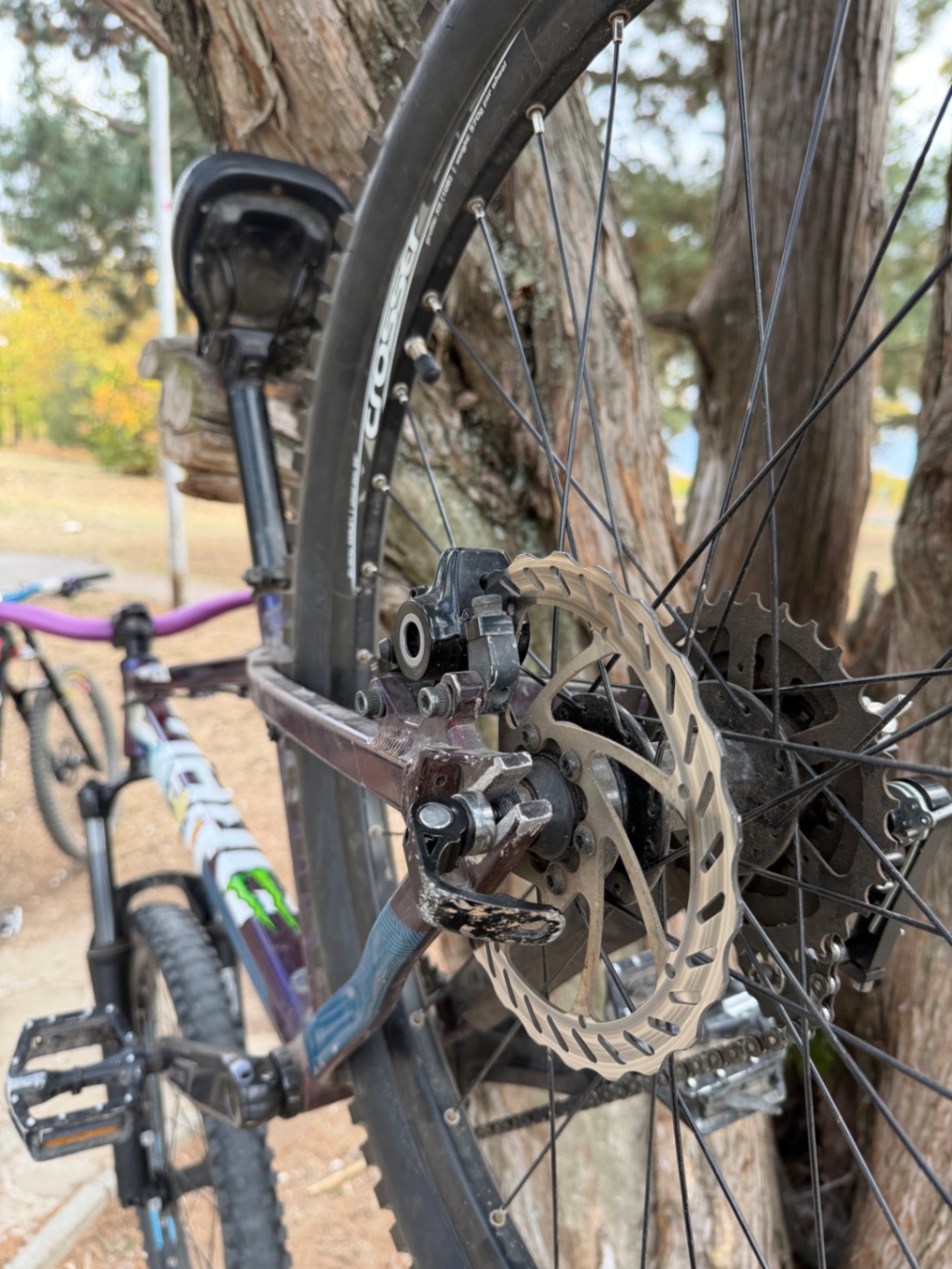 Bike view 3