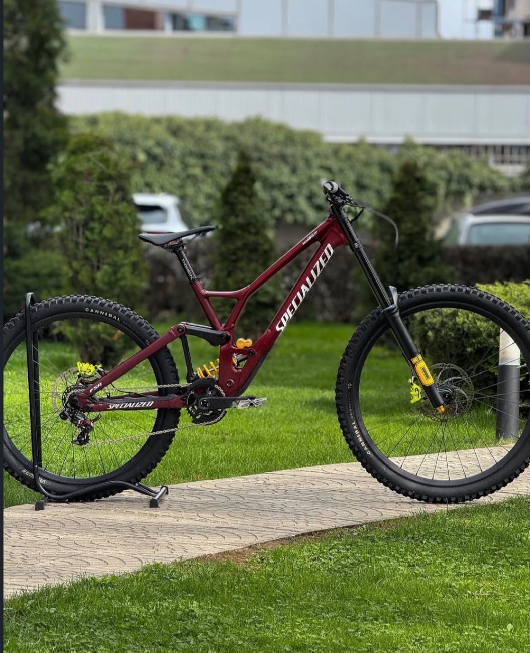 Specialized Demo Race