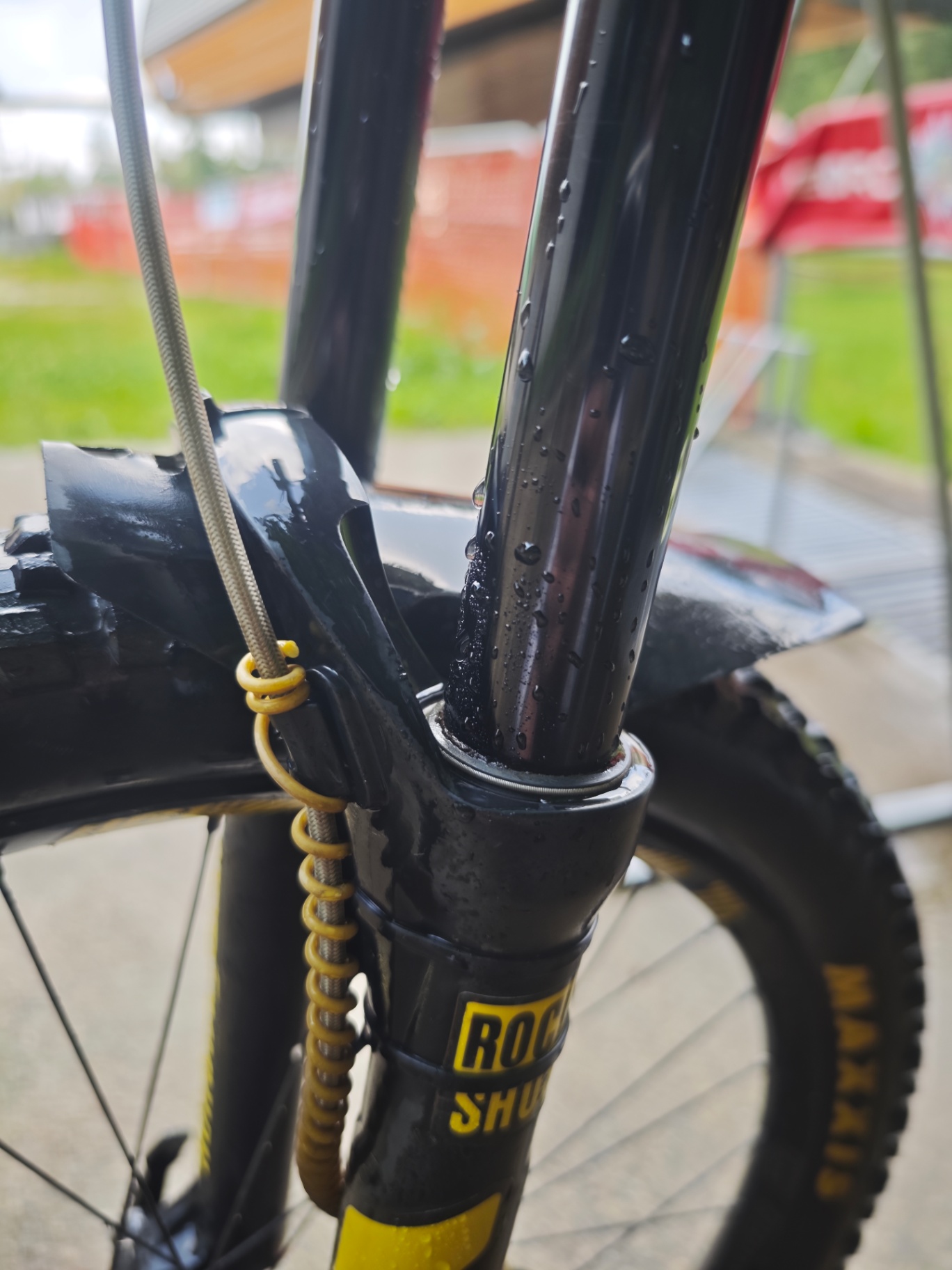Bike view 10