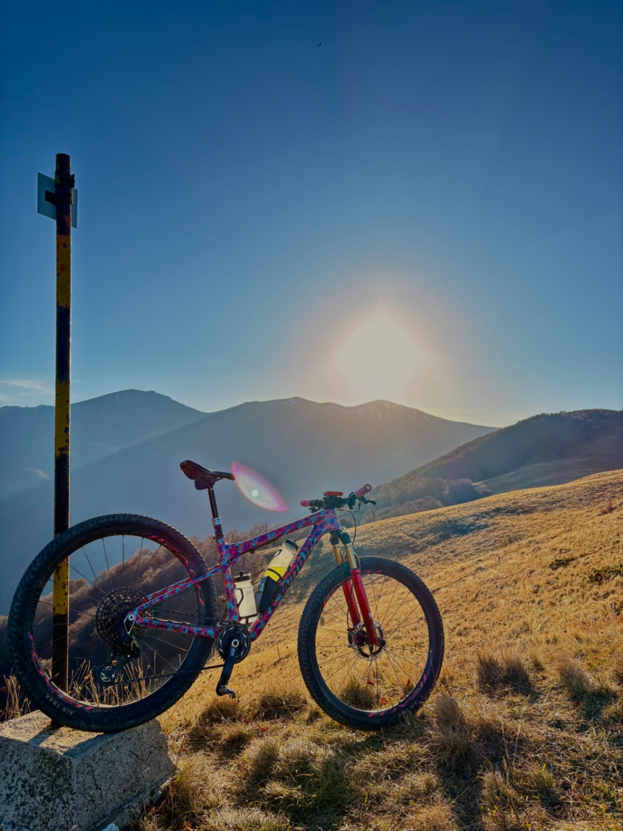 Bike view 5
