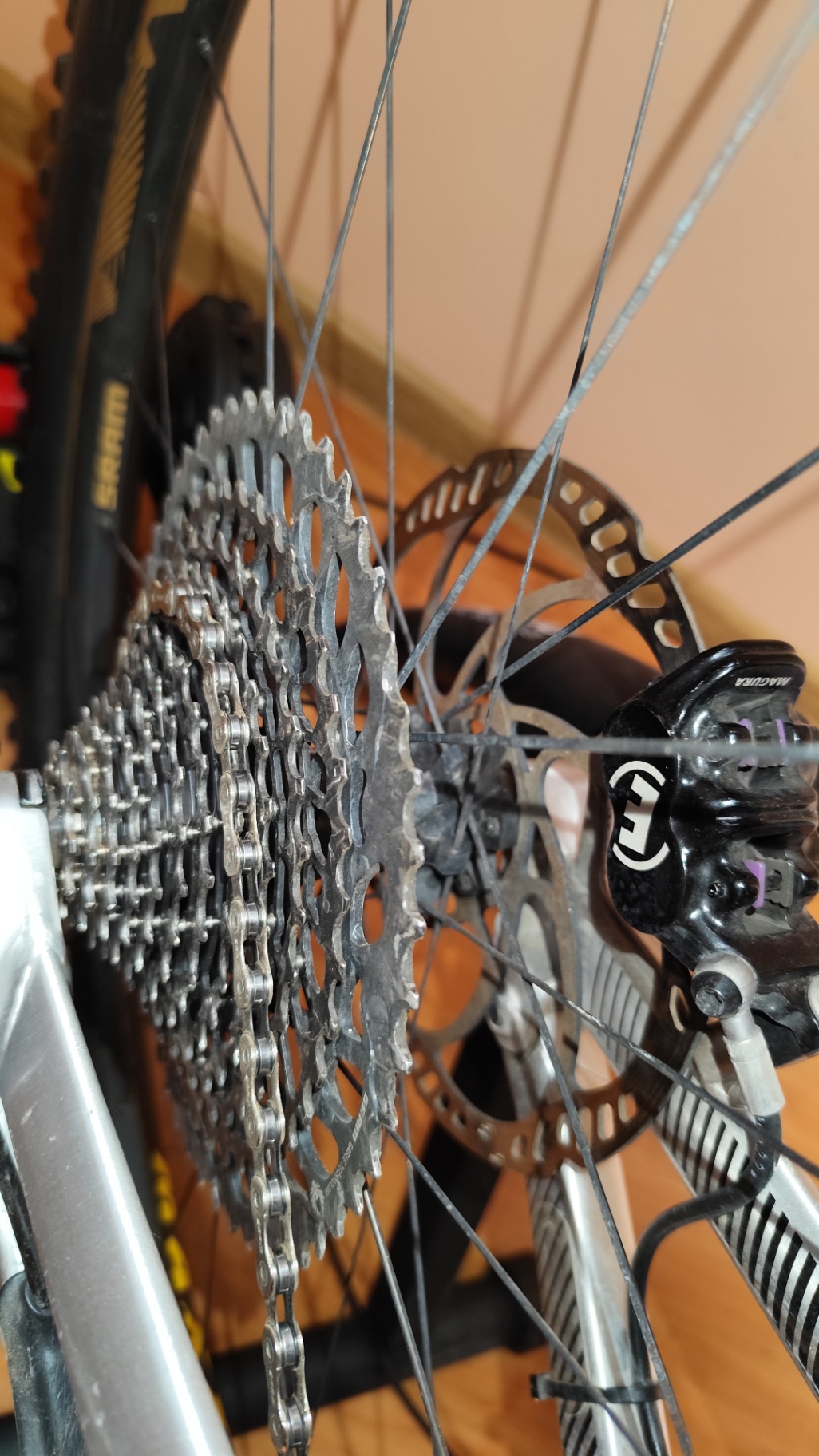 Bike view 2