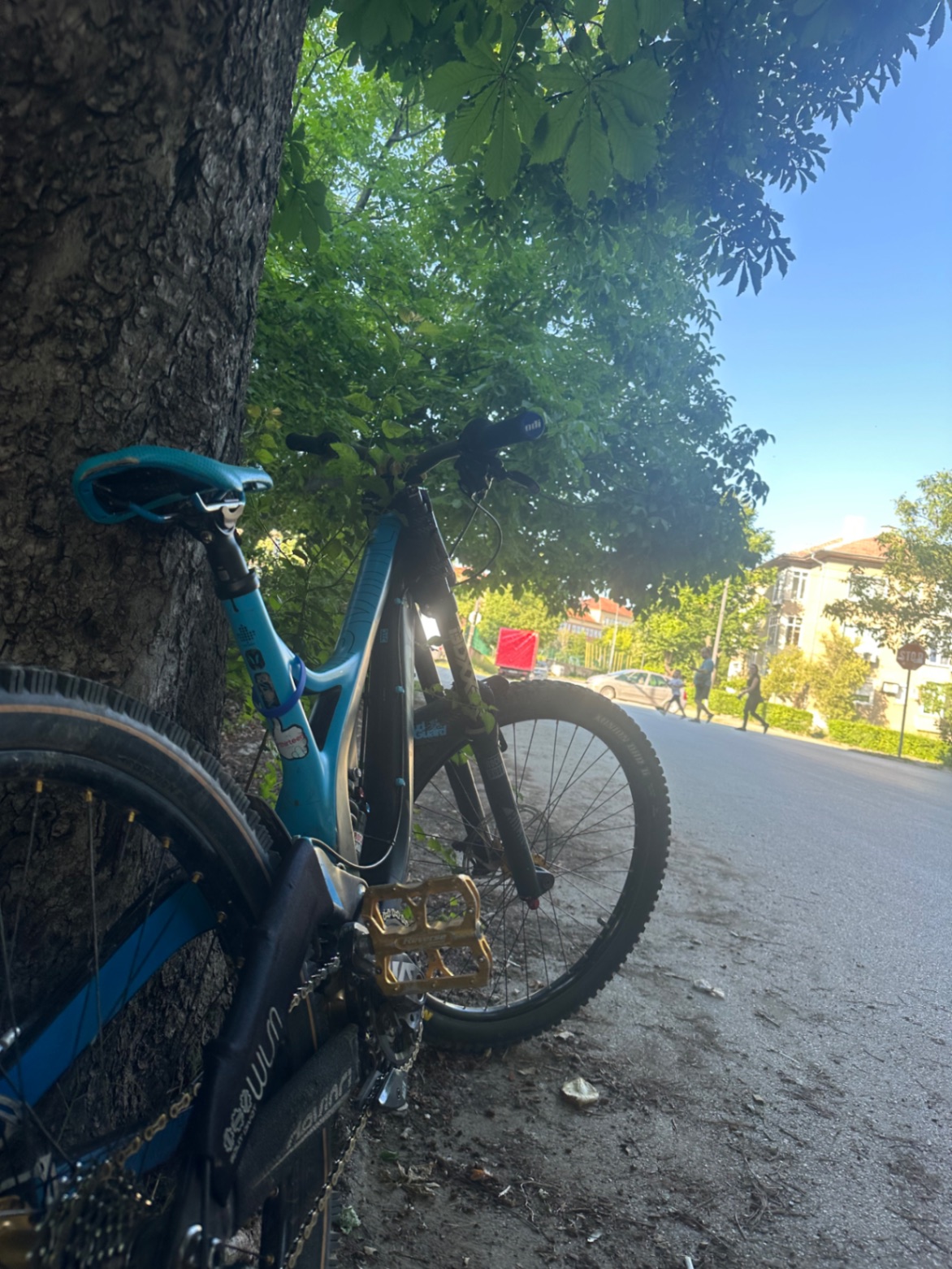 Bike view 8