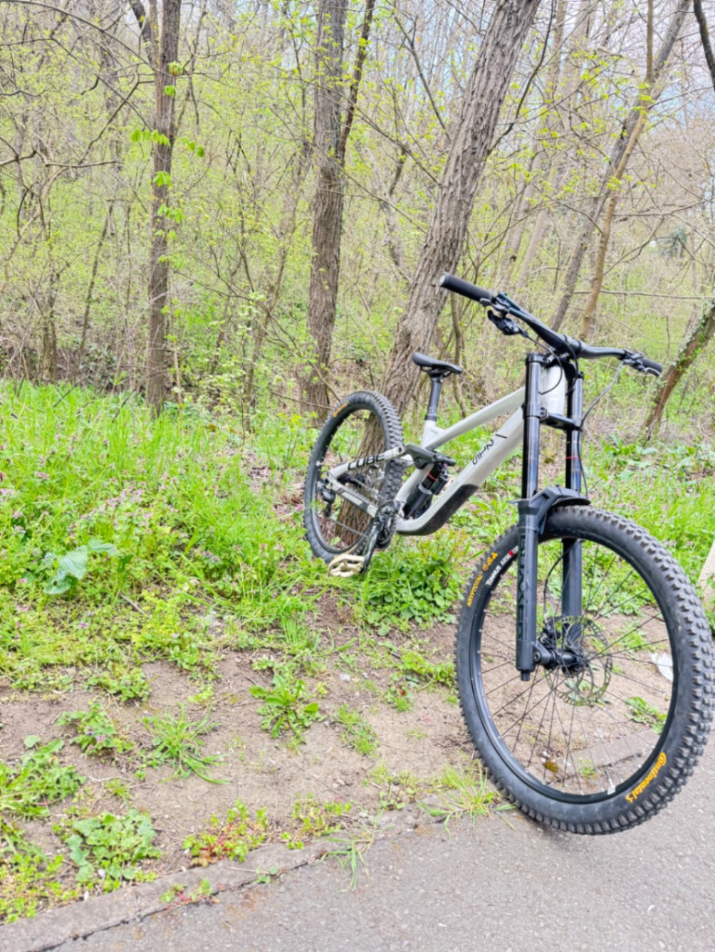 Bike view 5