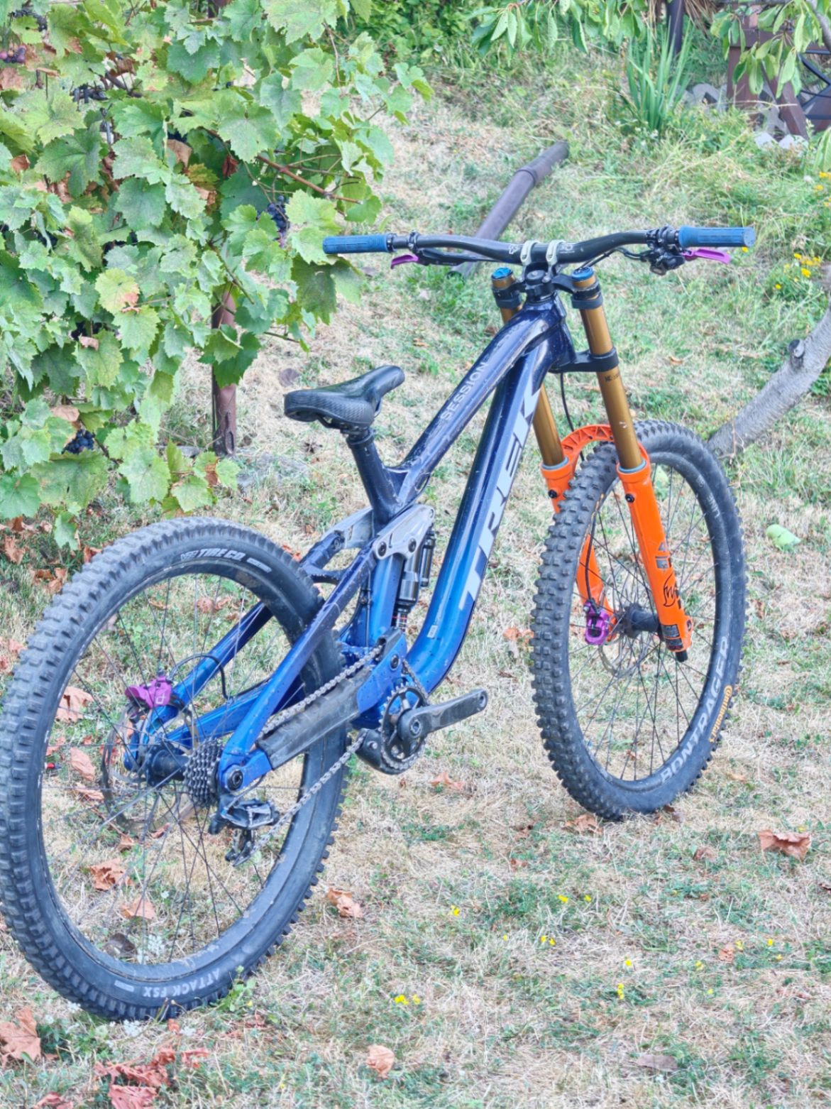 Bike view 2