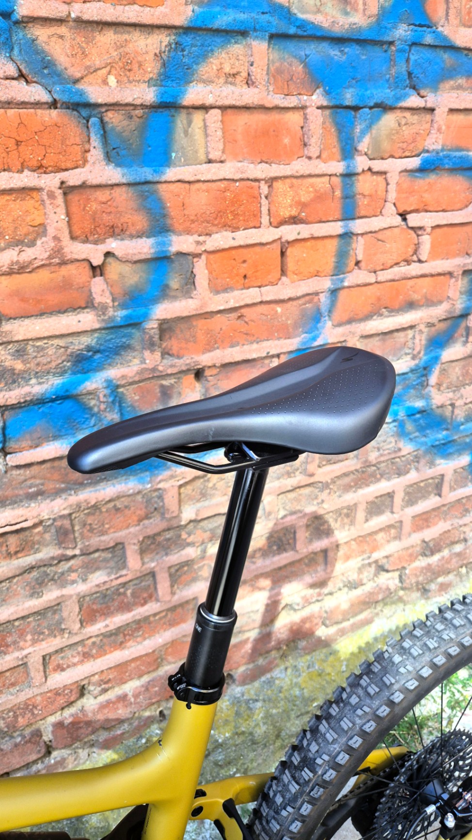 Bike view 11