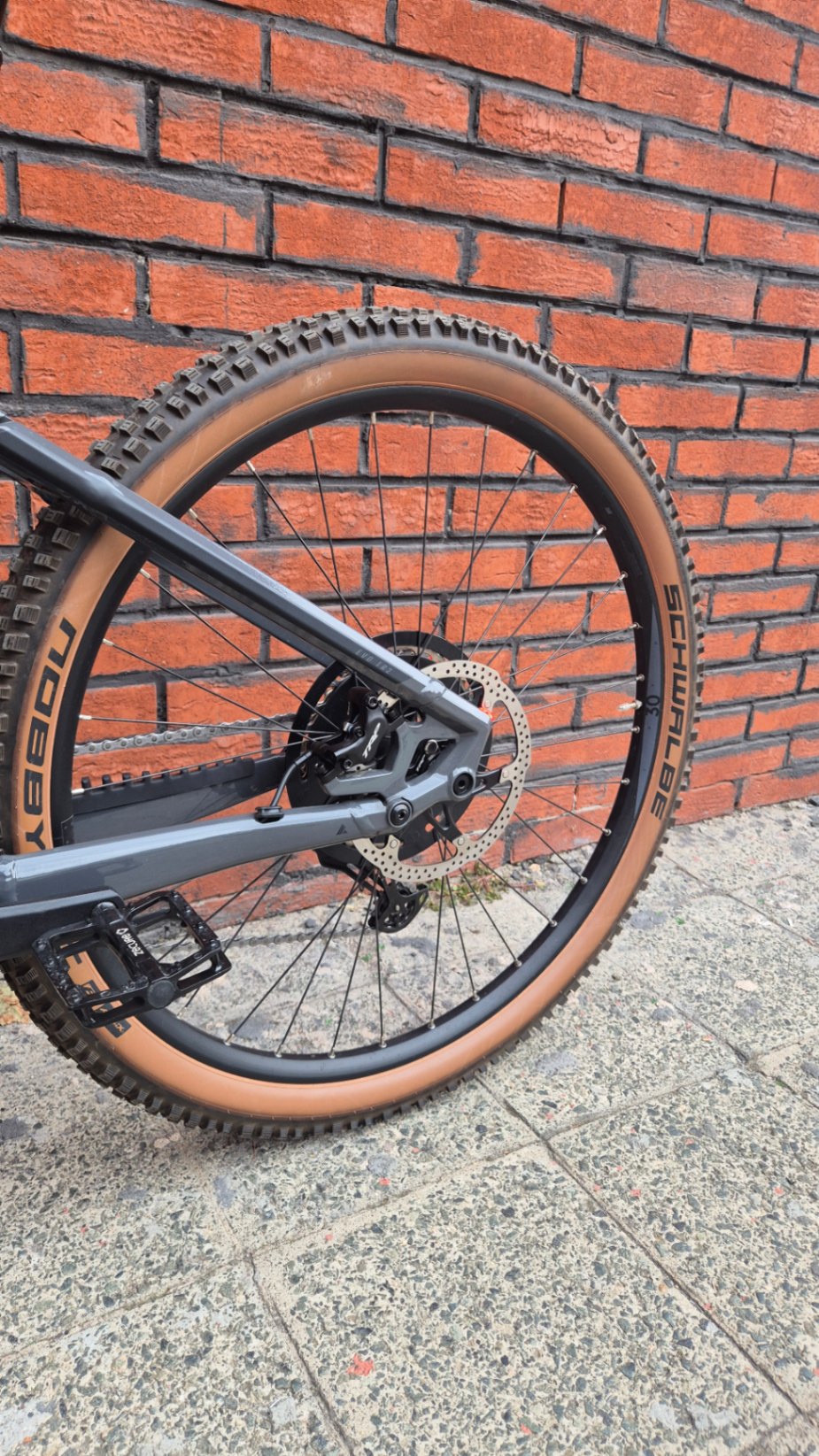 Bike view 8