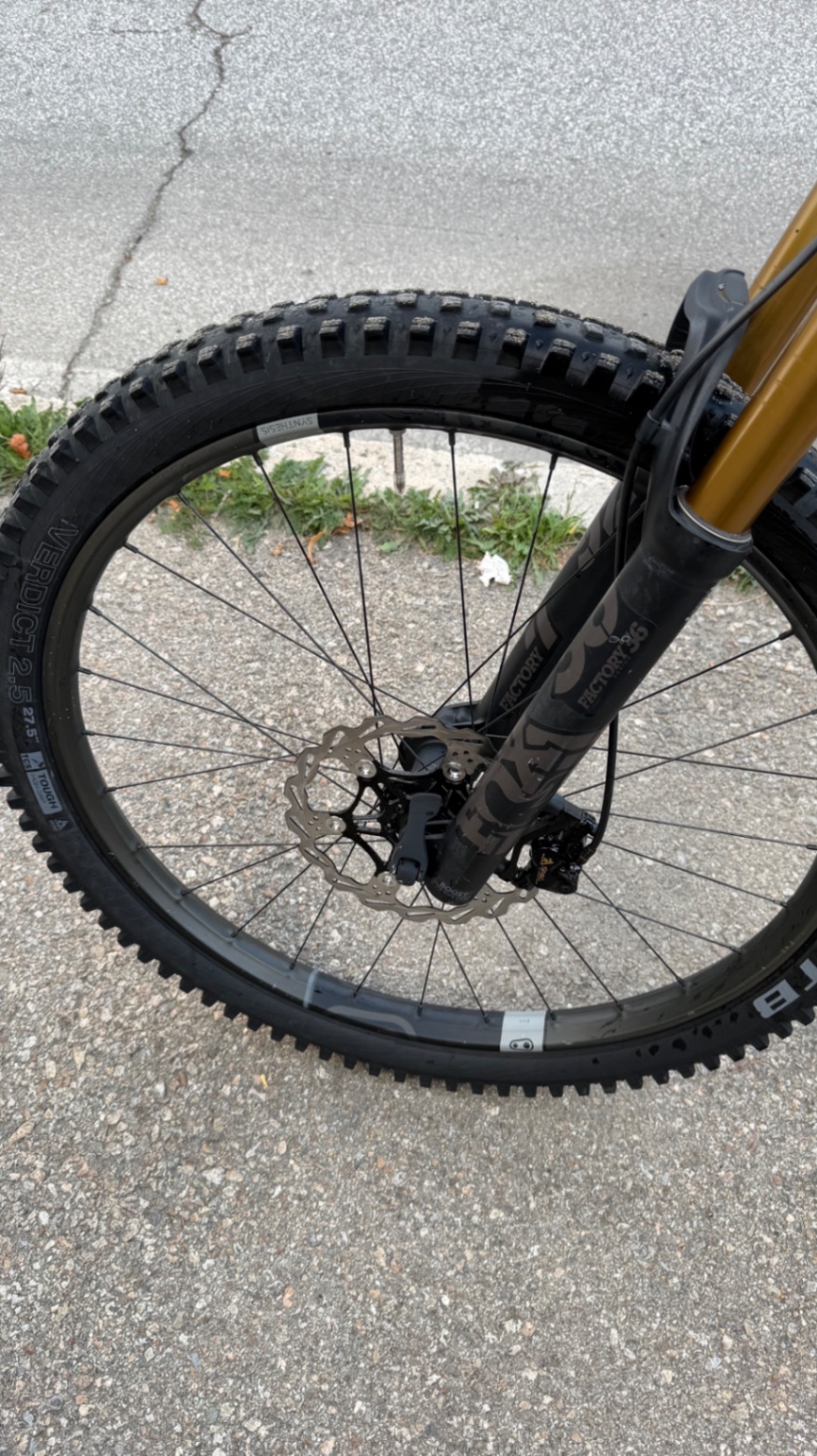Bike view 11