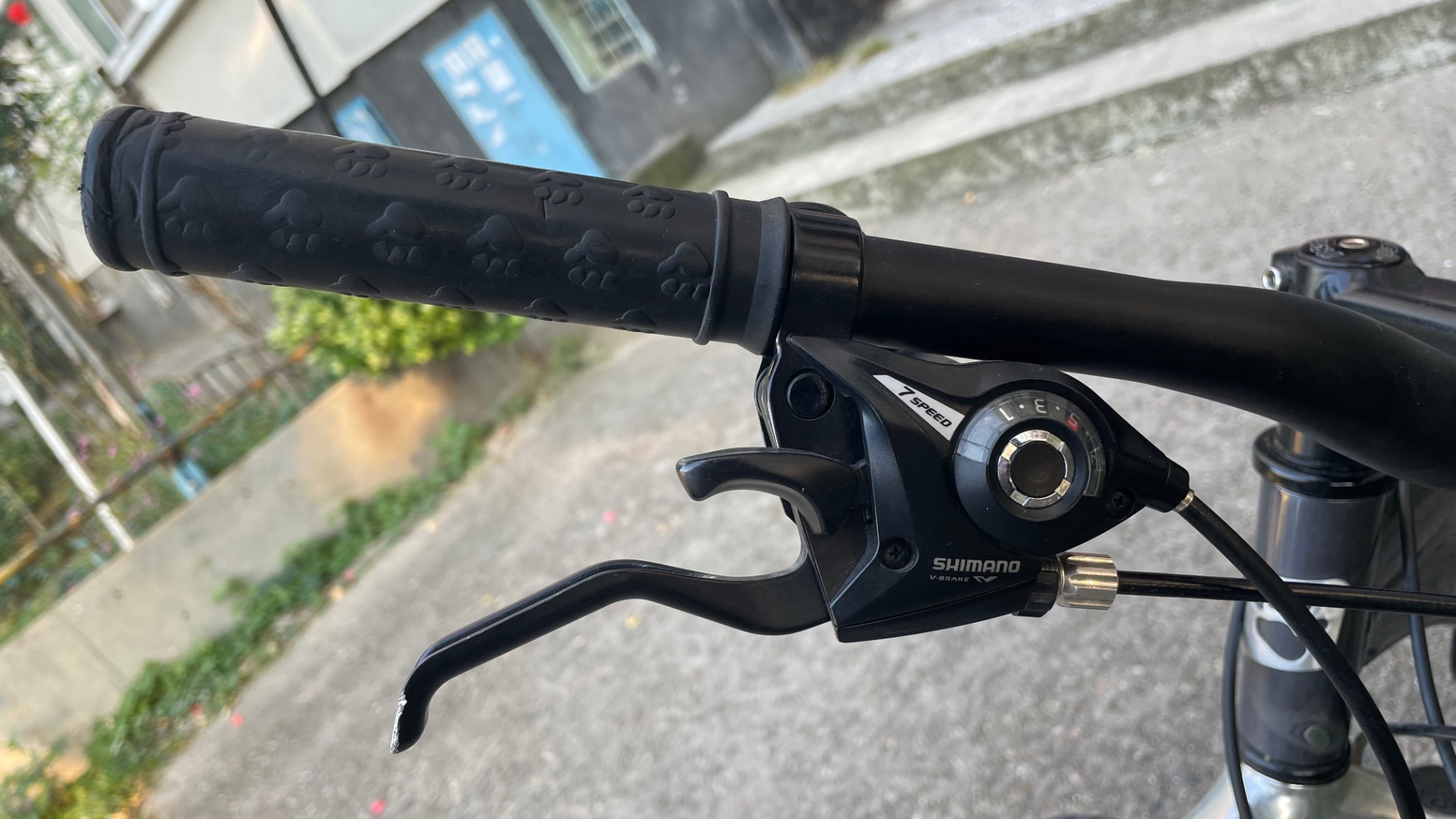 Bike view 8