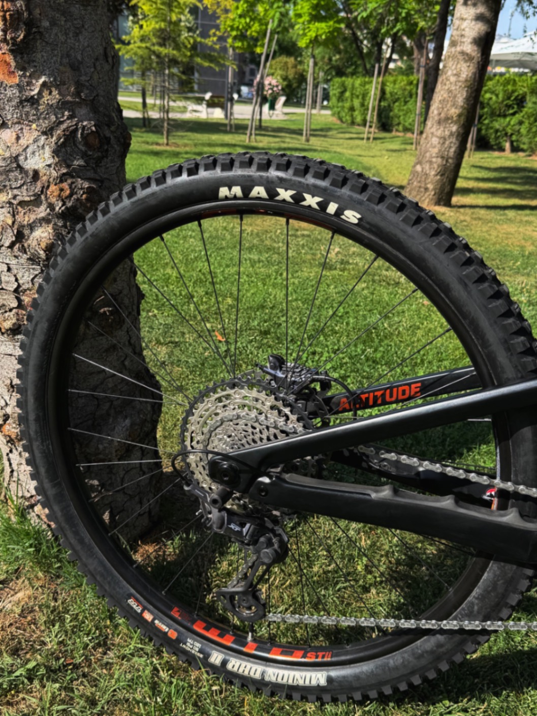 Bike view 5