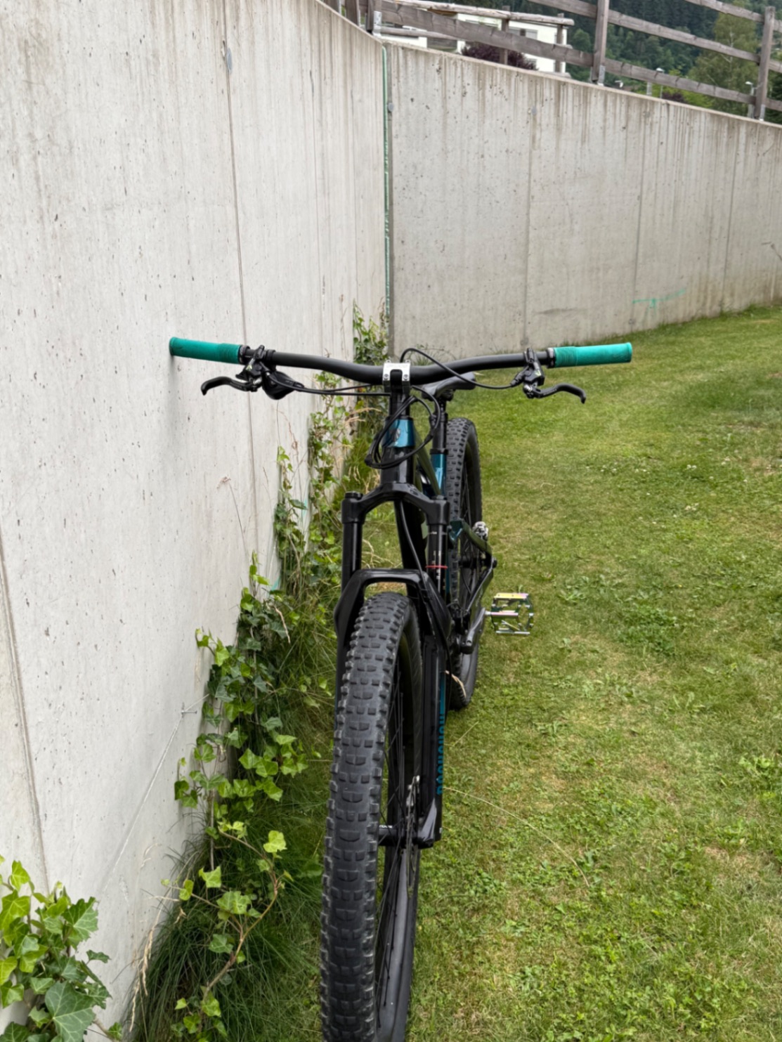 Bike view 11