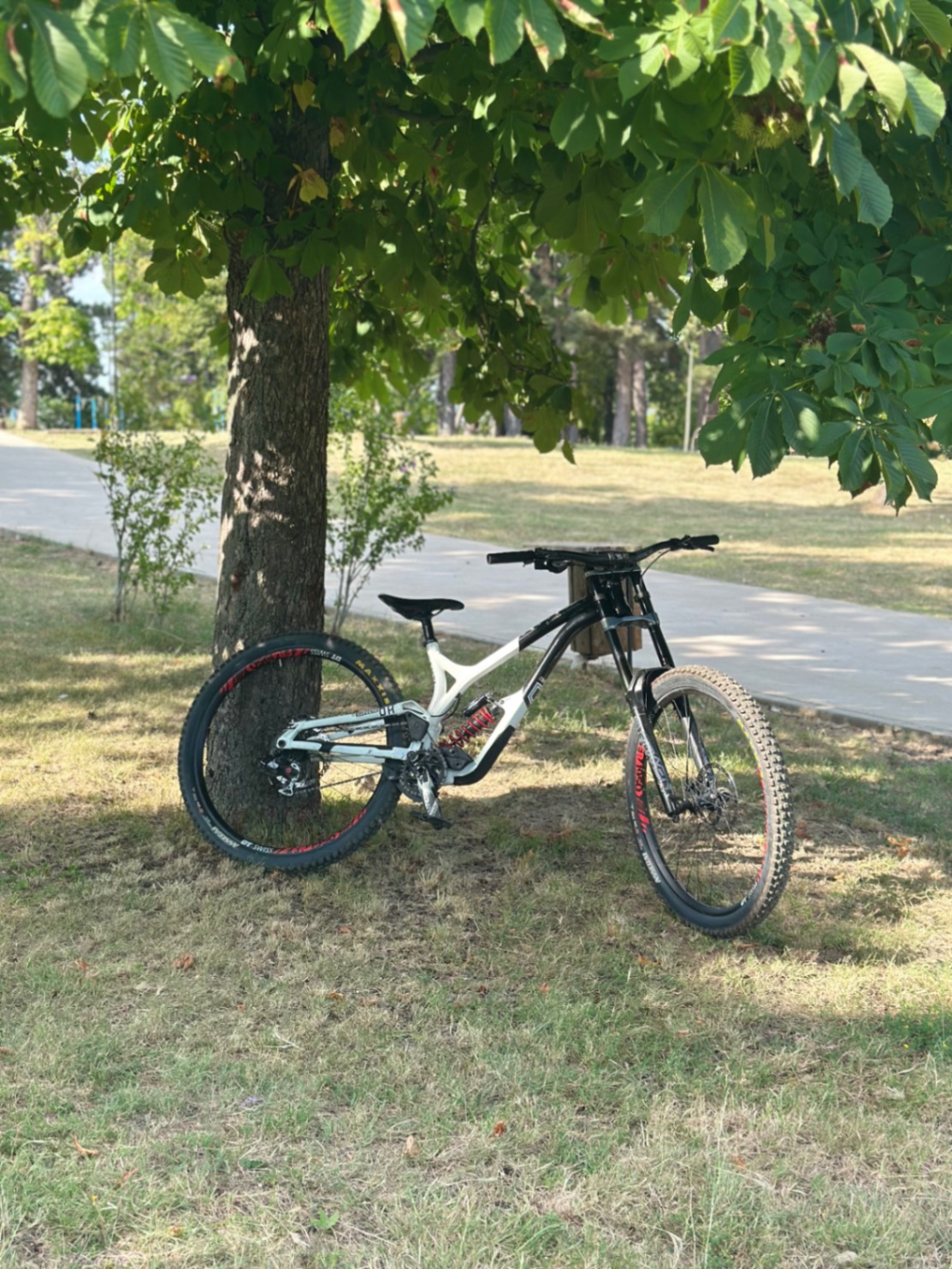 Bike view 9