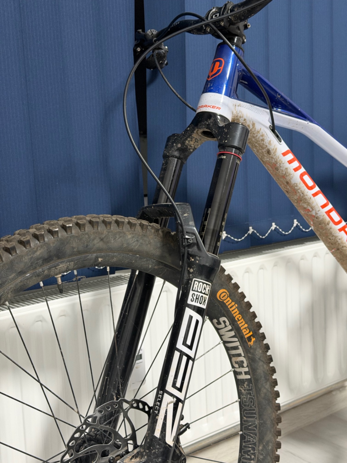 Bike view 5