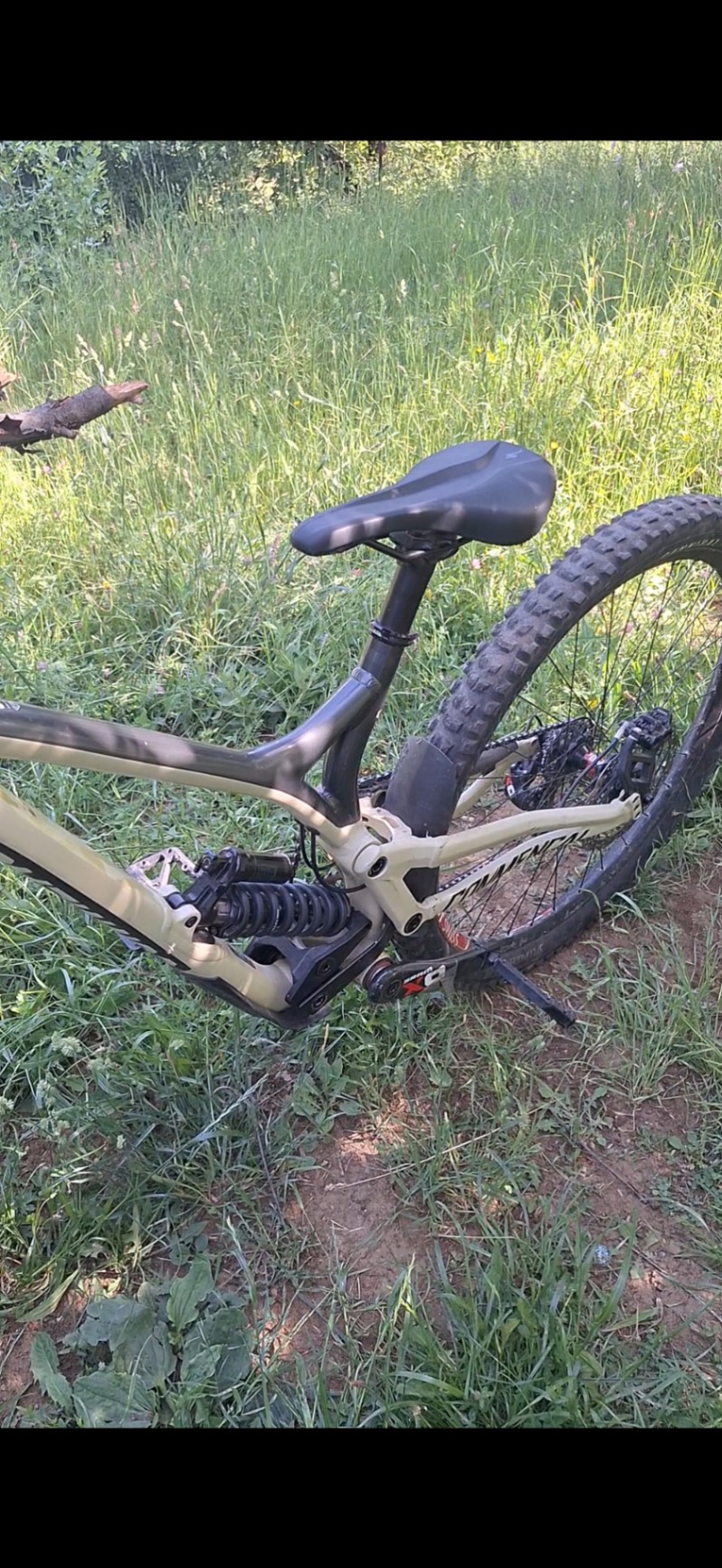 Bike view 6
