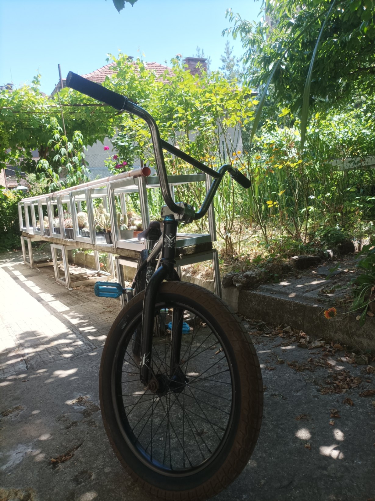 Bike view 5