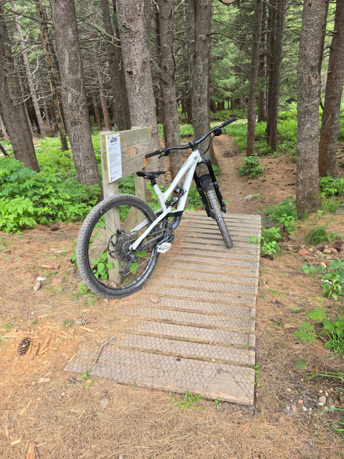 Bike view 2