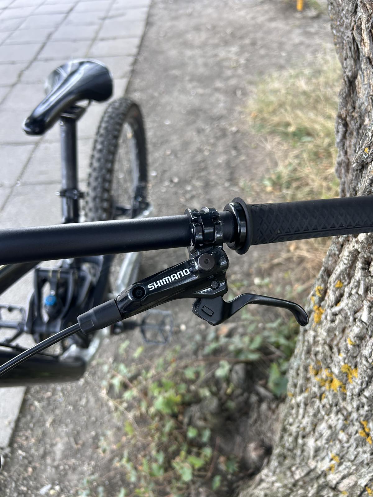 Bike view 5